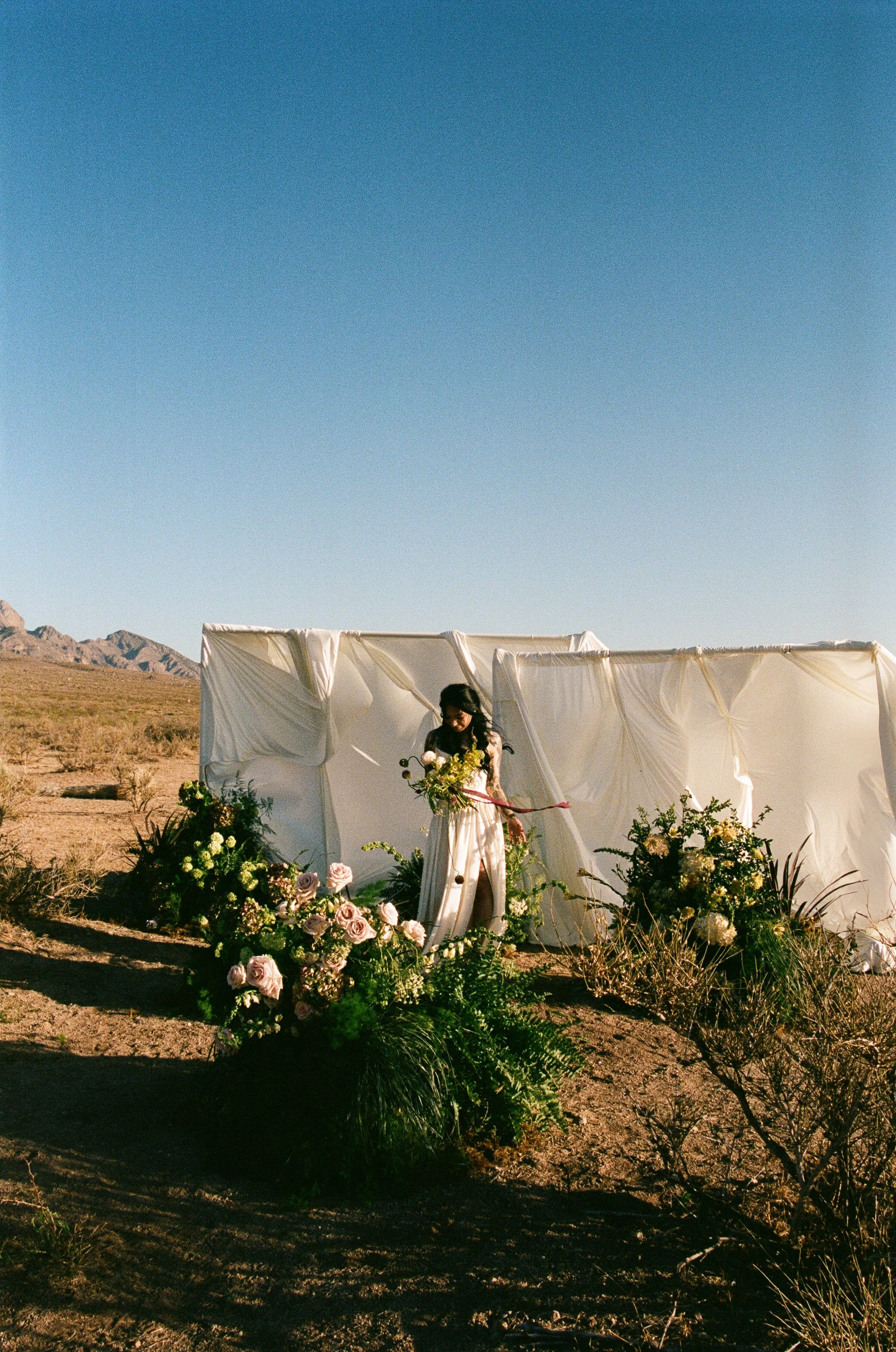 N_N_New_Mexico_Vow_Renewal_Audrey_Darke_Photography-30.jpg