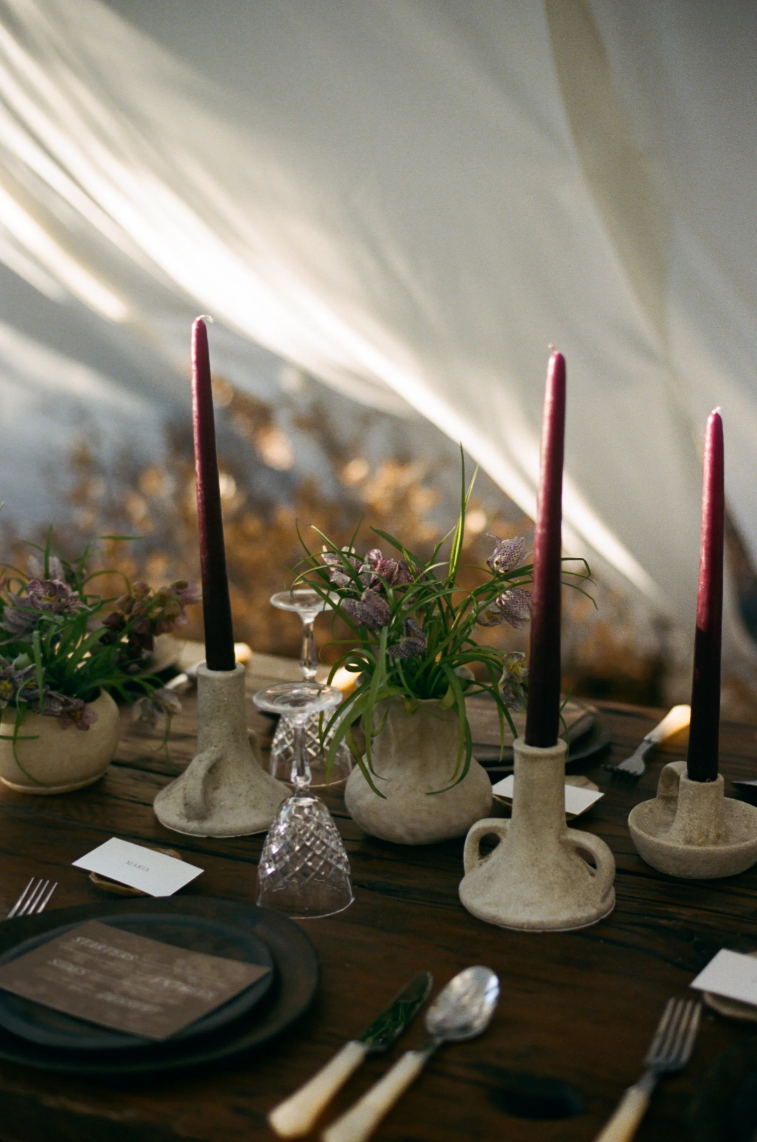 Ashley_David_New_Mexico_Intimate_Wedding_Audrey_Darke_Photography-37.jpg