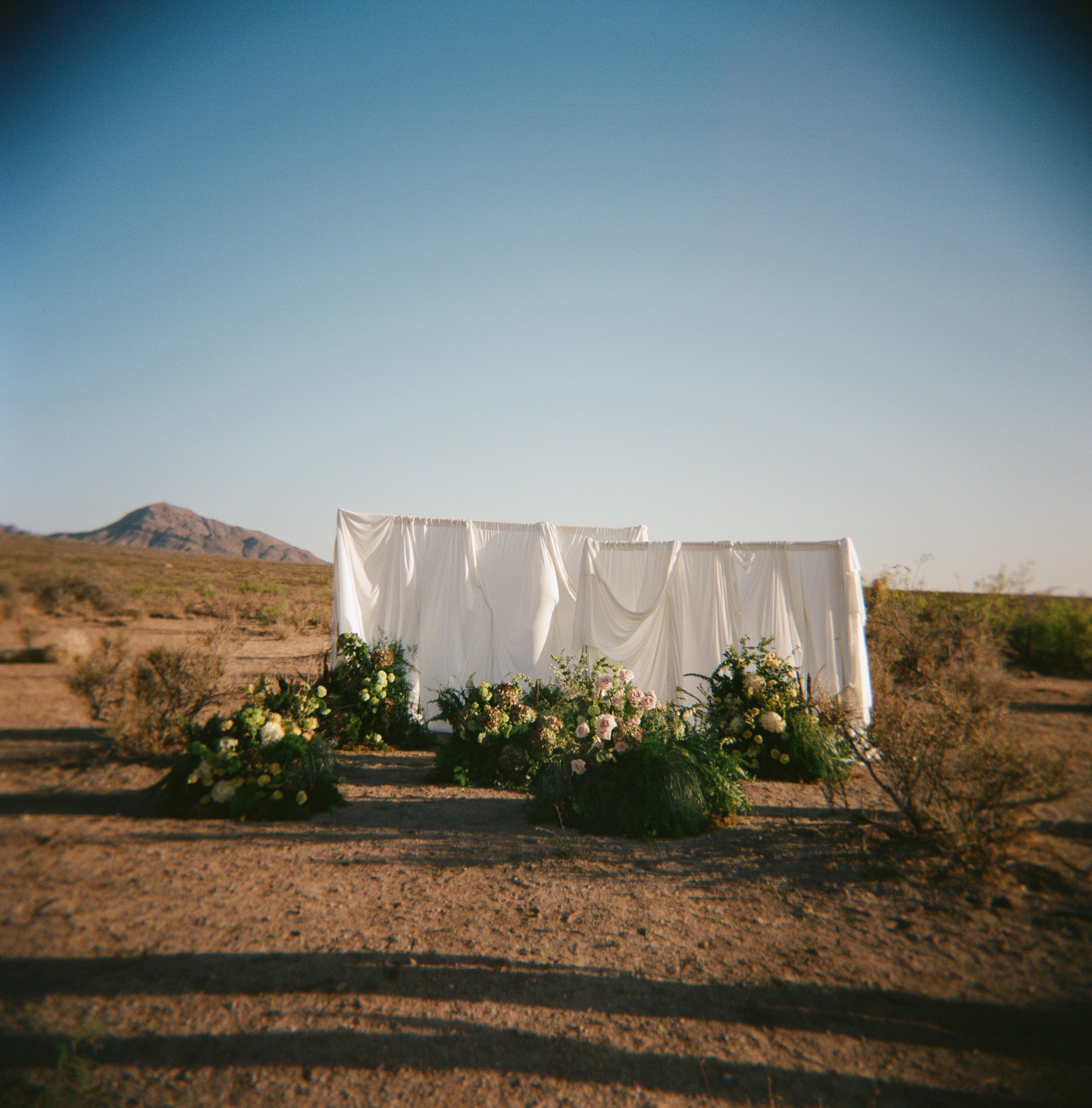 N_N_New_Mexico_Vow_Renewal_Audrey_Darke_Photography-3.jpg