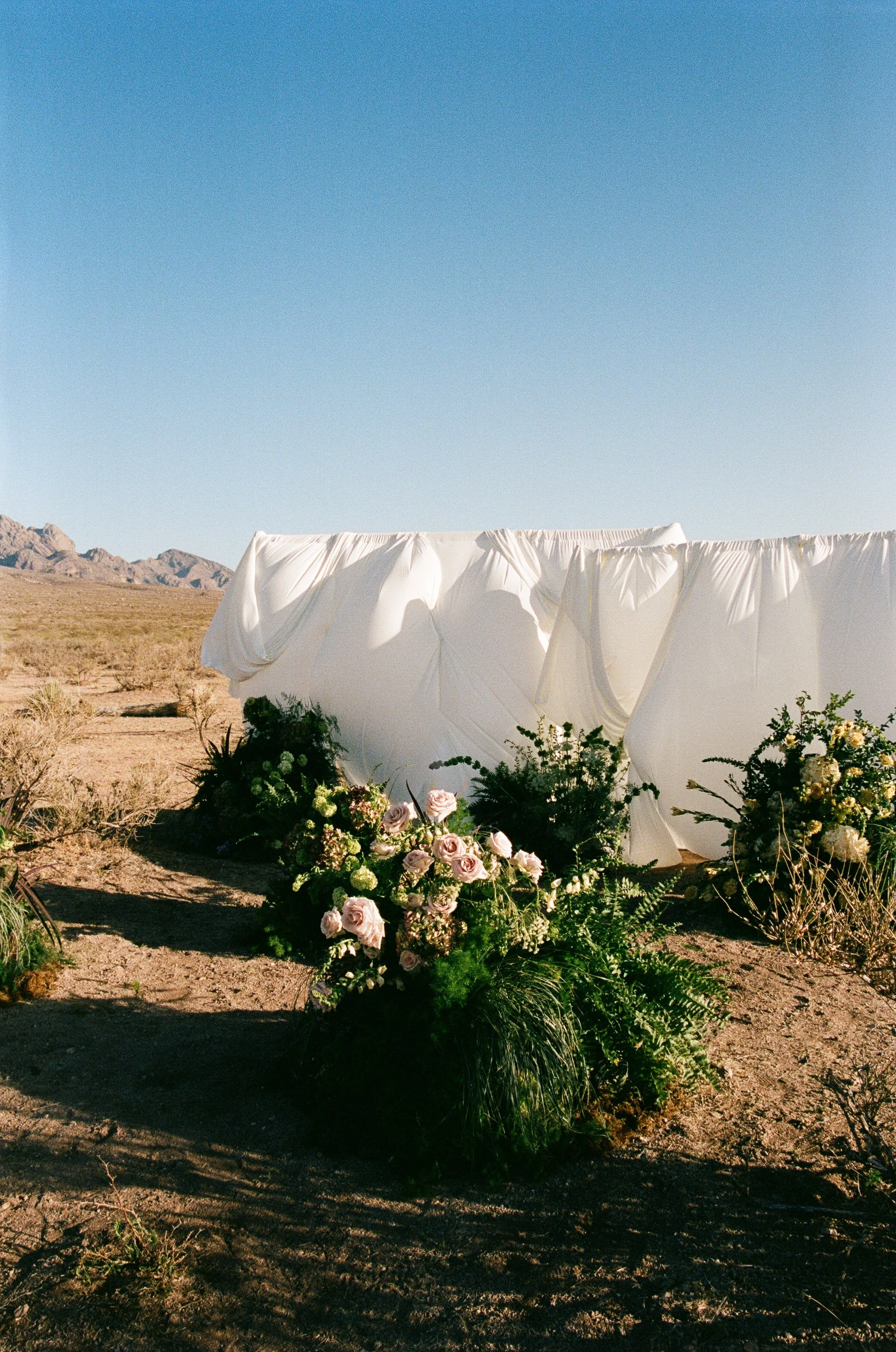 N_N_New_Mexico_Vow_Renewal_Audrey_Darke_Photography-29.jpg