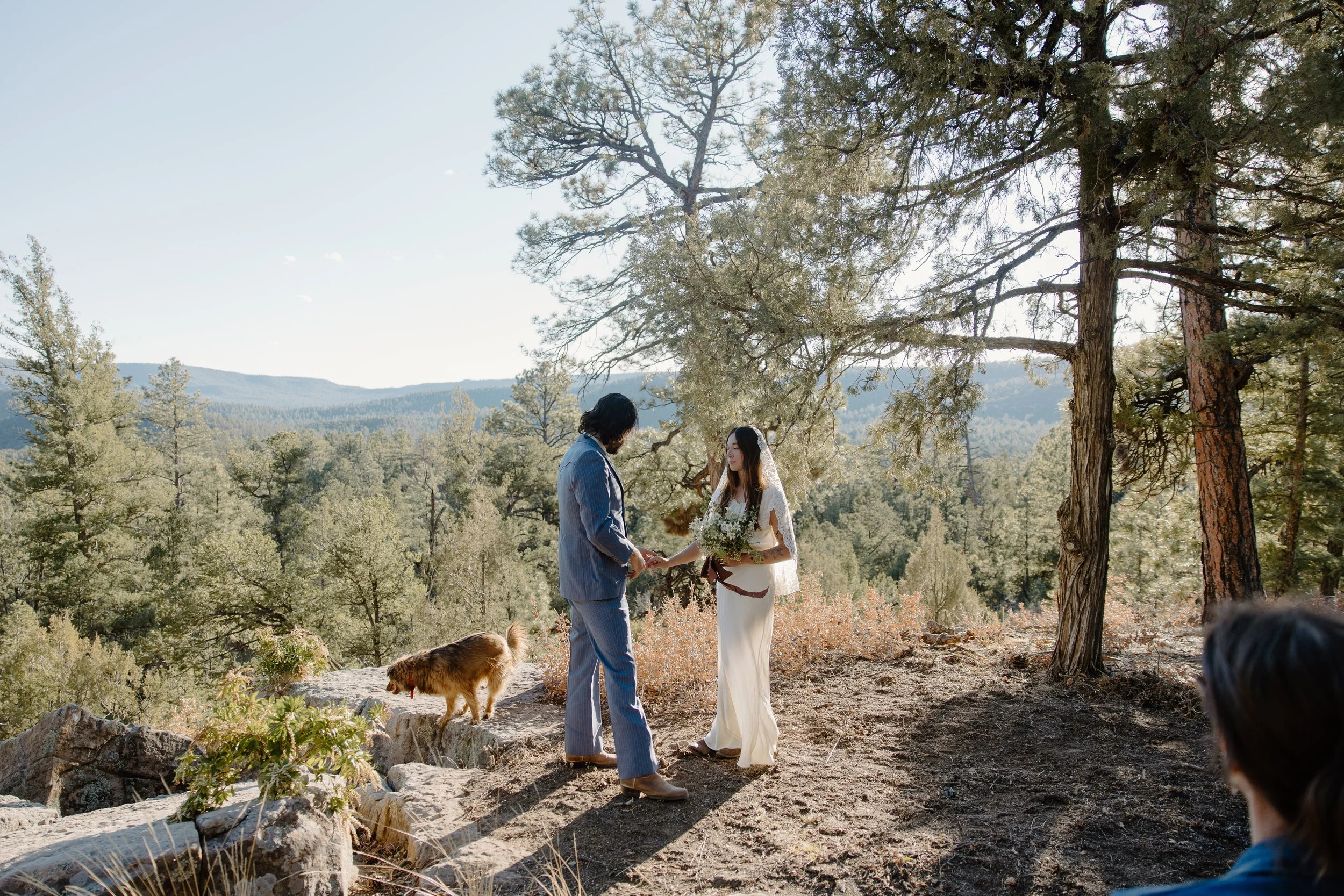 David_Ashley_Glorietta_New_Mexico_Intimate_Wedding_Audrey_Darke_Photography-54.jpg