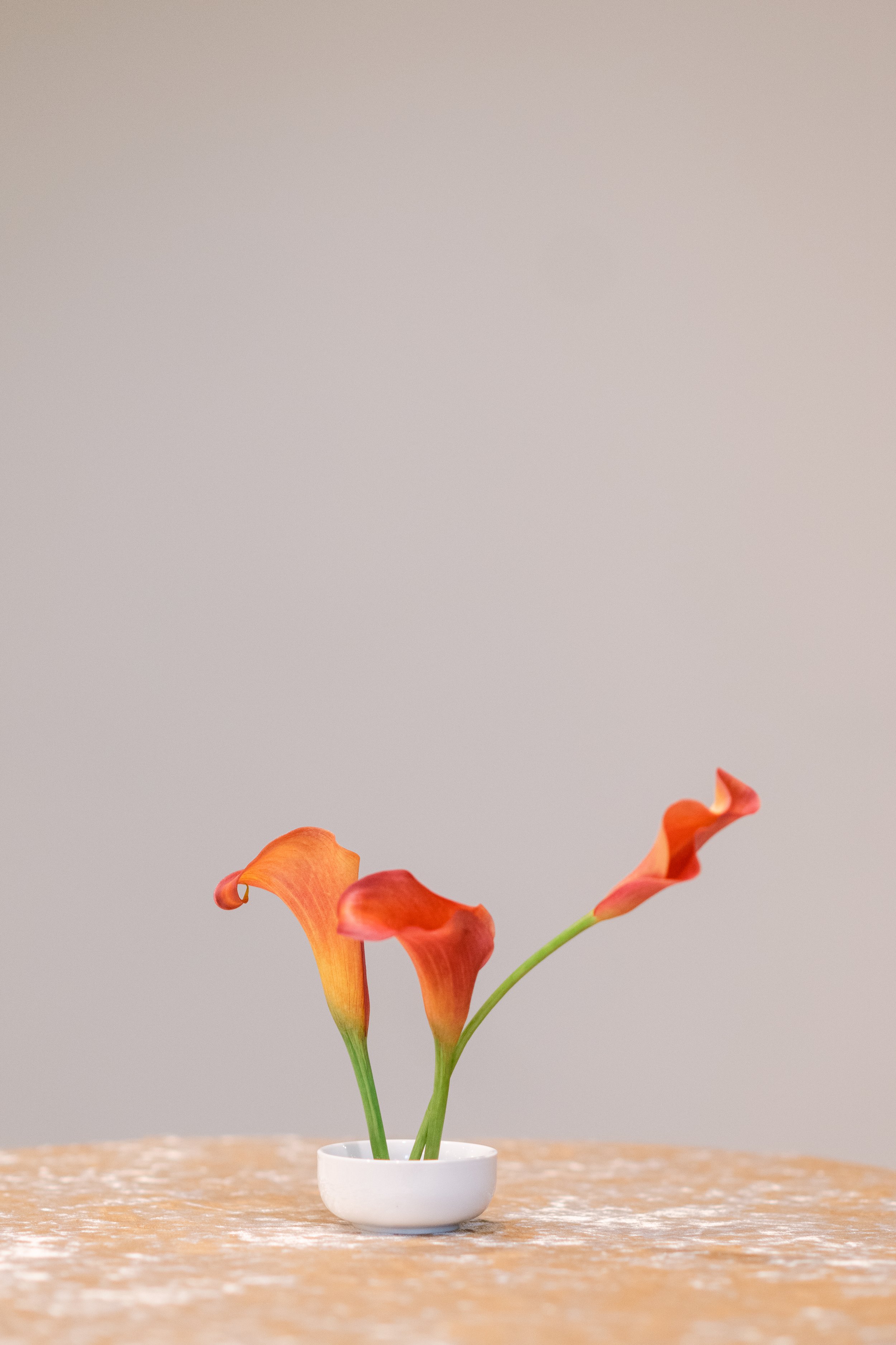 WEDSOCIETY25-052.jpg
