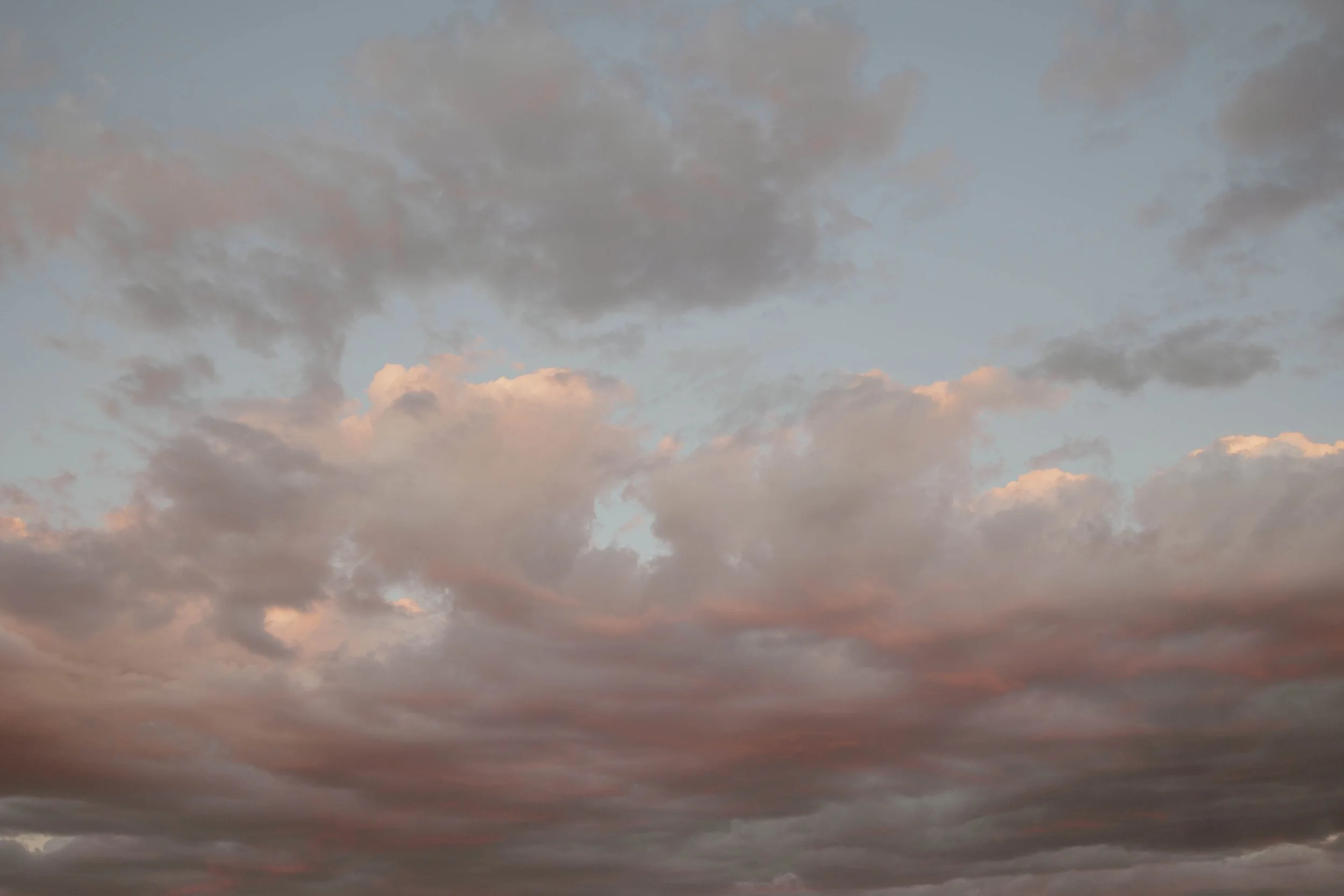 9F9A9251.jpg
