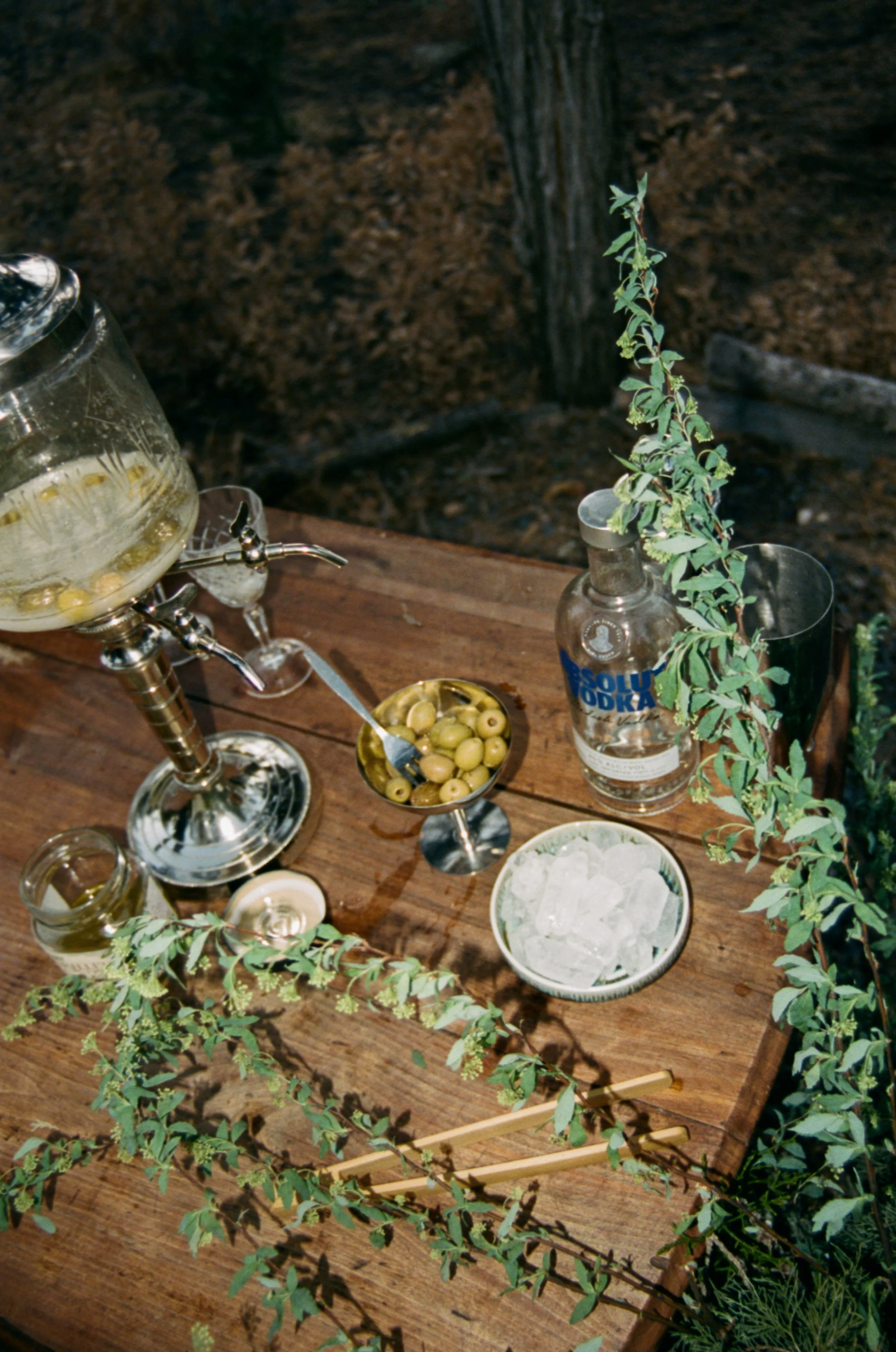 Ashley_David_New_Mexico_Intimate_Wedding_Audrey_Darke_Photography-65.jpg