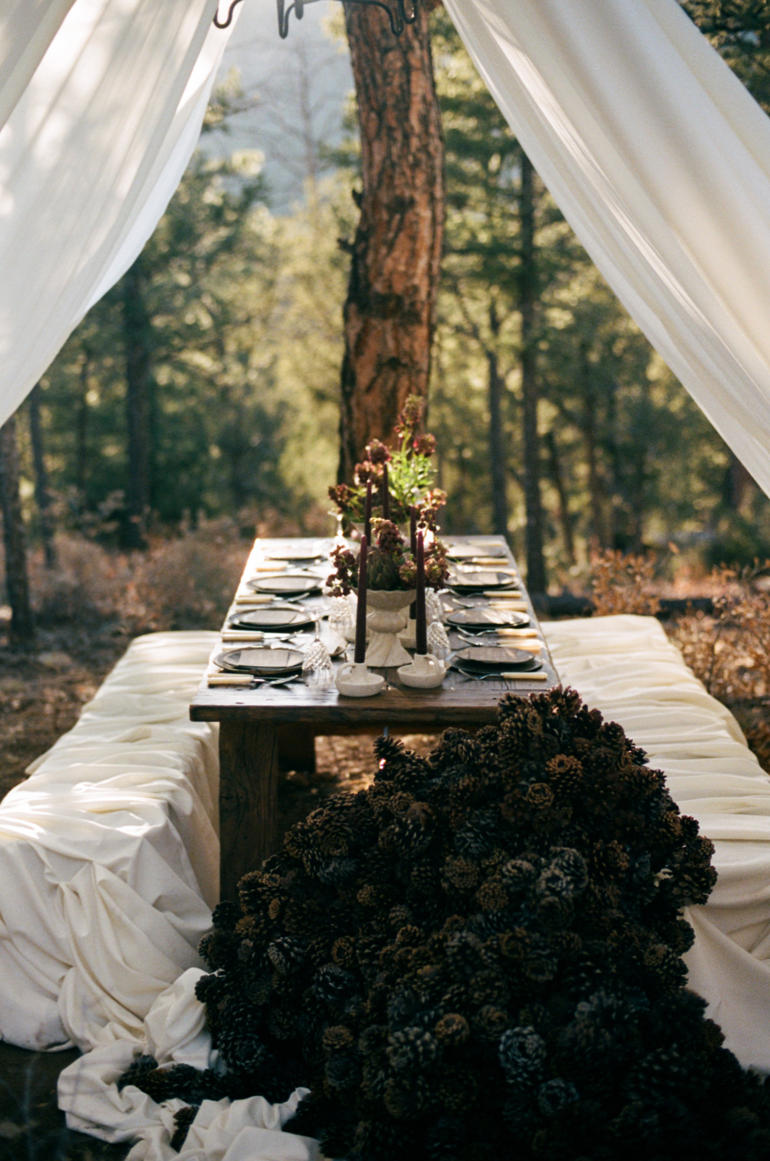 Ashley_David_New_Mexico_Intimate_Wedding_Audrey_Darke_Photography-38.jpg