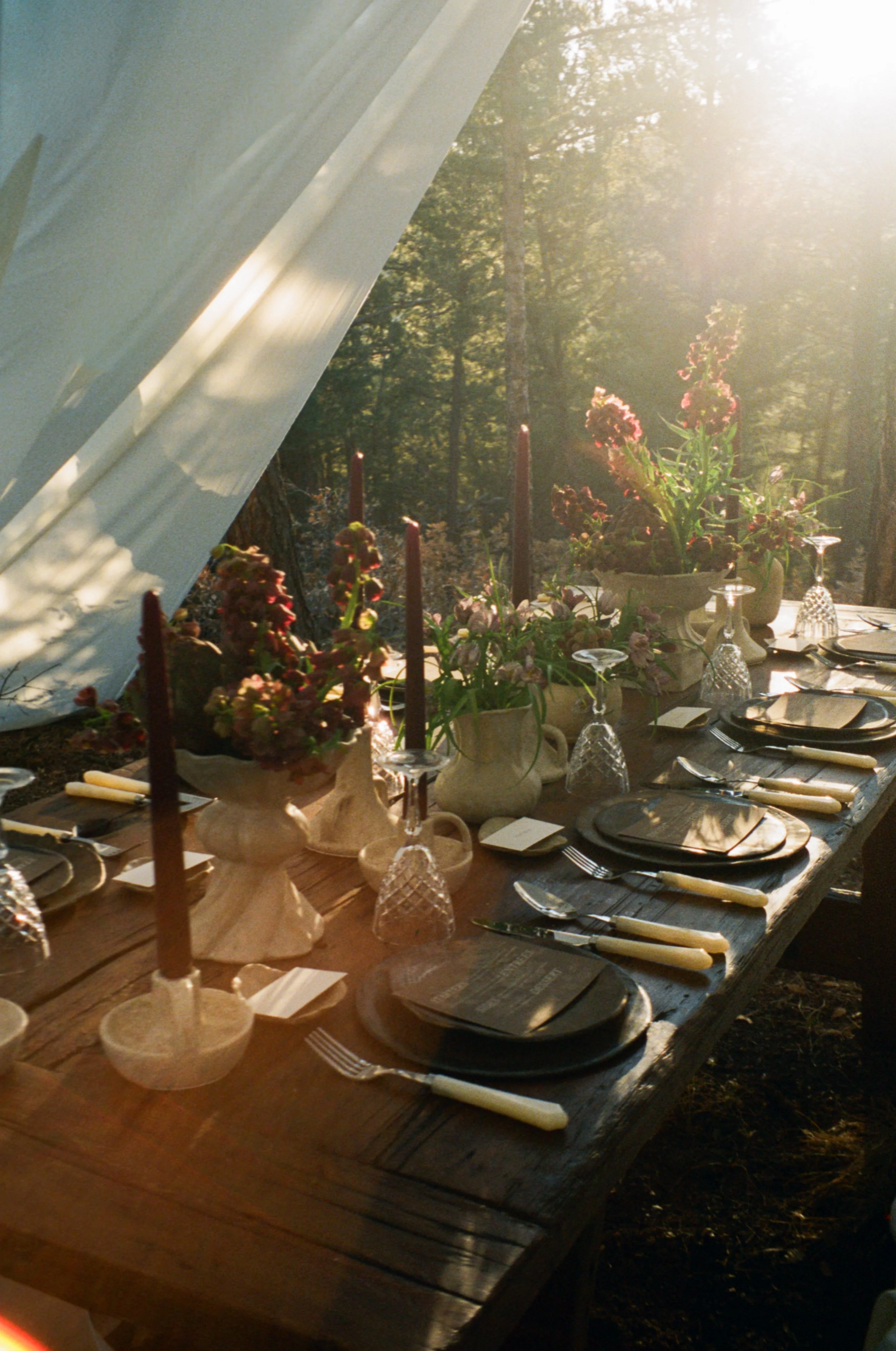 Ashley_David_New_Mexico_Intimate_Wedding_Audrey_Darke_Photography-83.jpg
