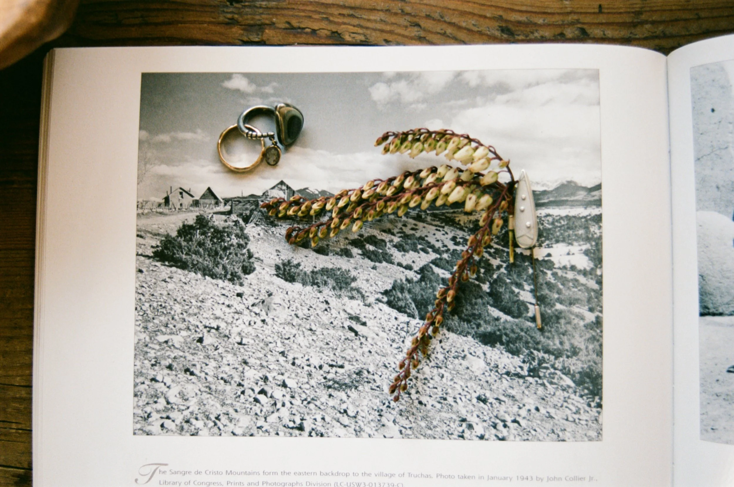 Ashley_David_New_Mexico_Intimate_Wedding_Audrey_Darke_Photography-49.jpg