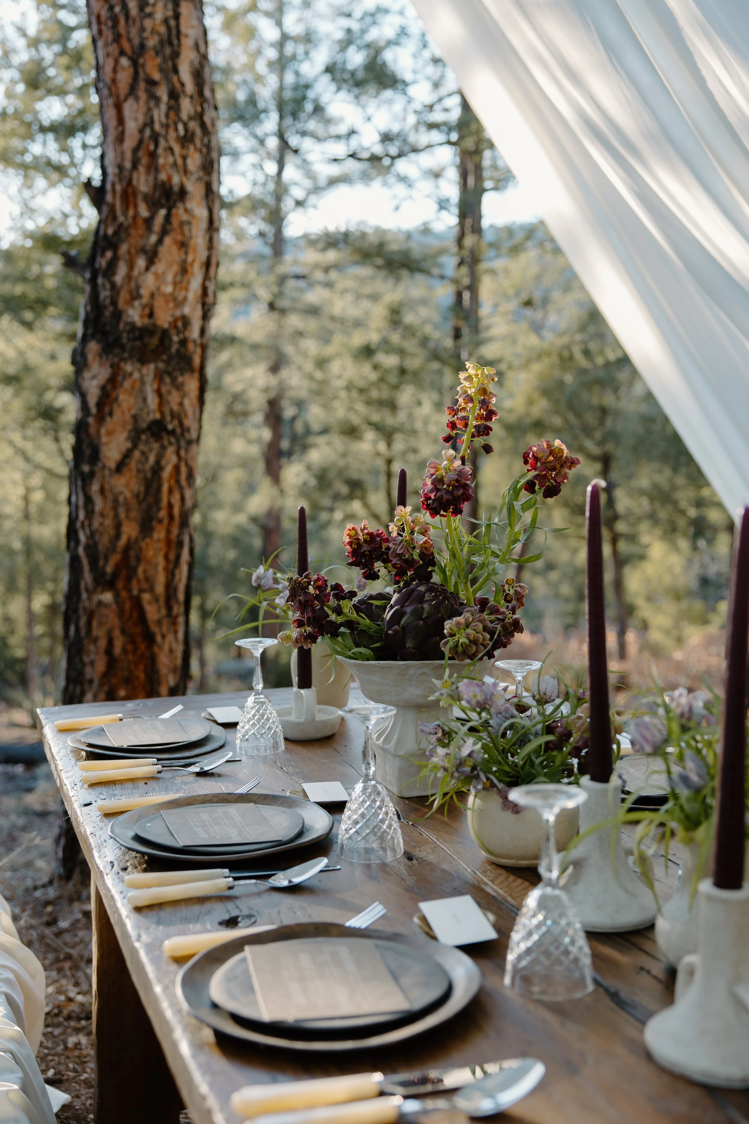 David_Ashley_Glorietta_New_Mexico_Intimate_Wedding_Audrey_Darke_Photography-94.jpg