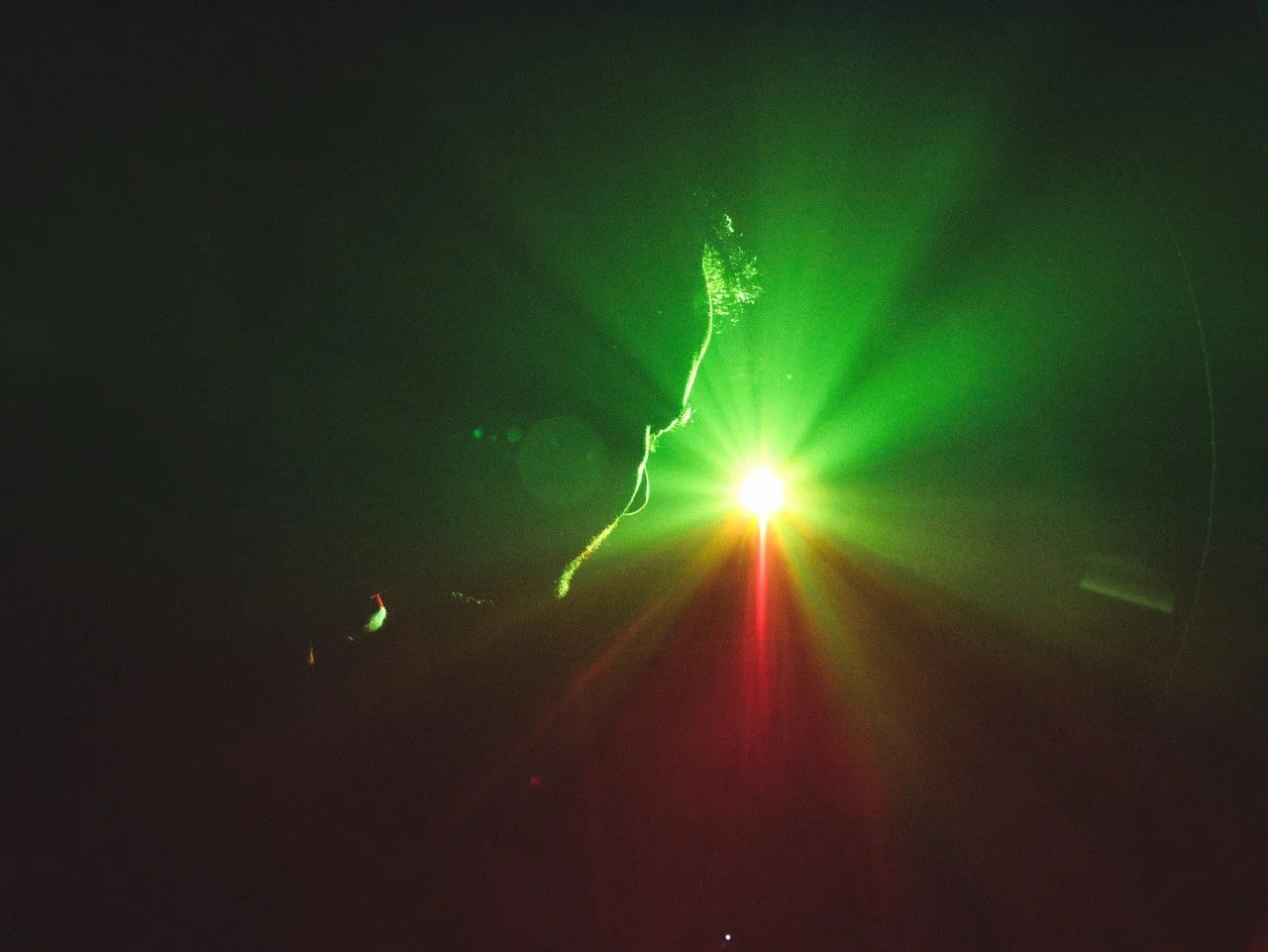 P1070643 2 Large.jpeg