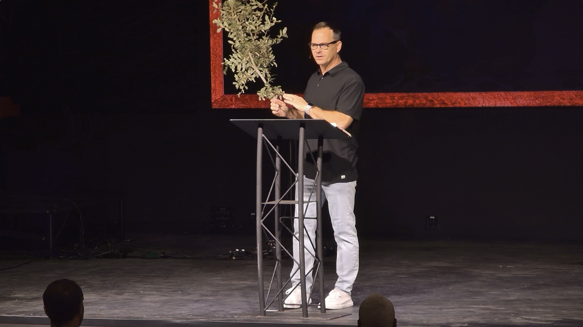 Jesus Is The True Vine