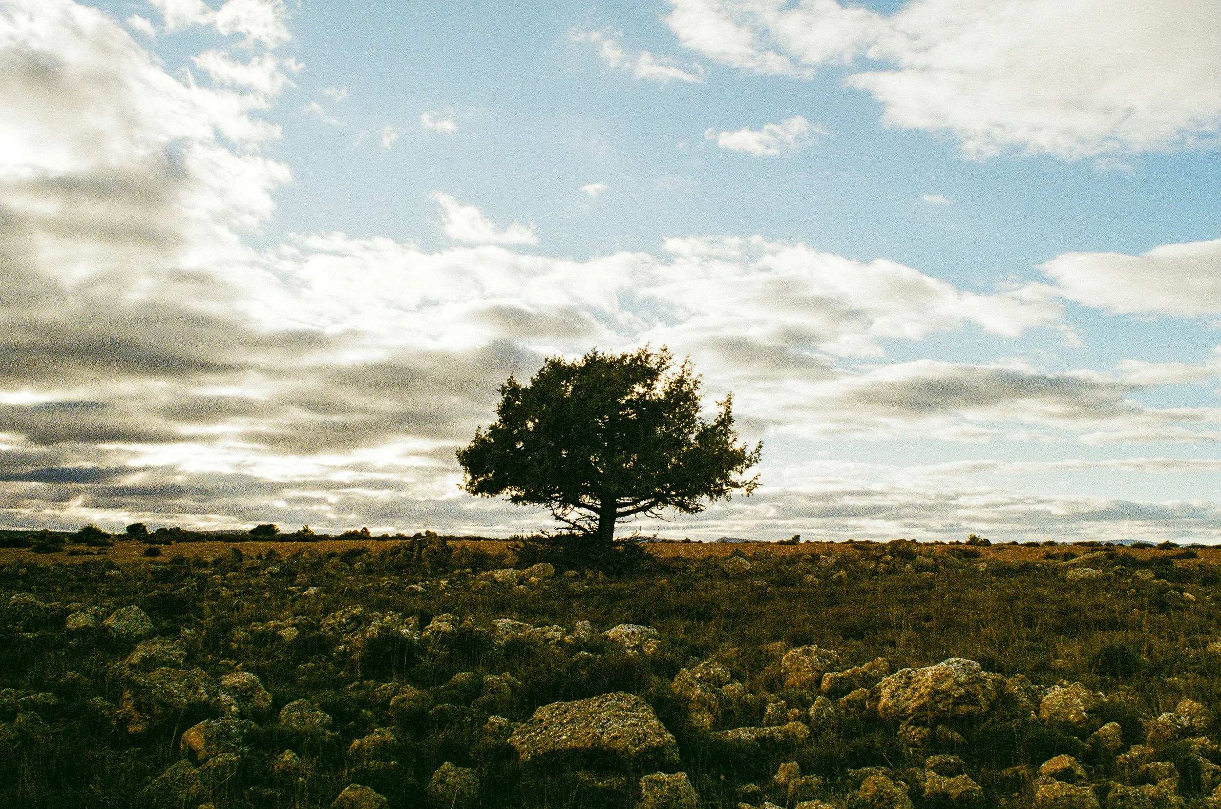 Most Owners Build a Business. Few Build a Legacy. Here's the Difference.