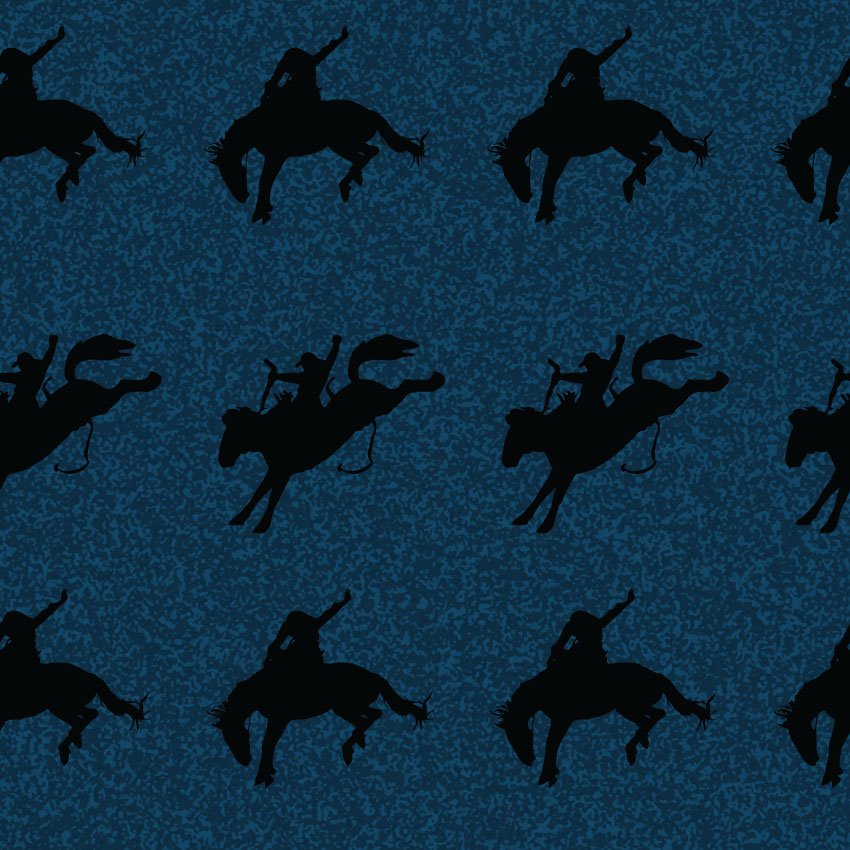 Navy Rodeo on Tex..jpg