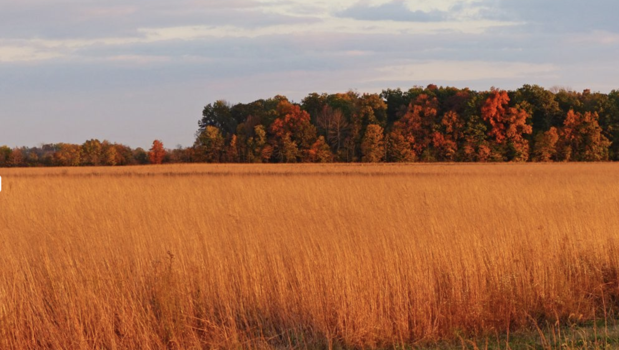 Autumn Ango Practice Period: Cultivating the Empty Field