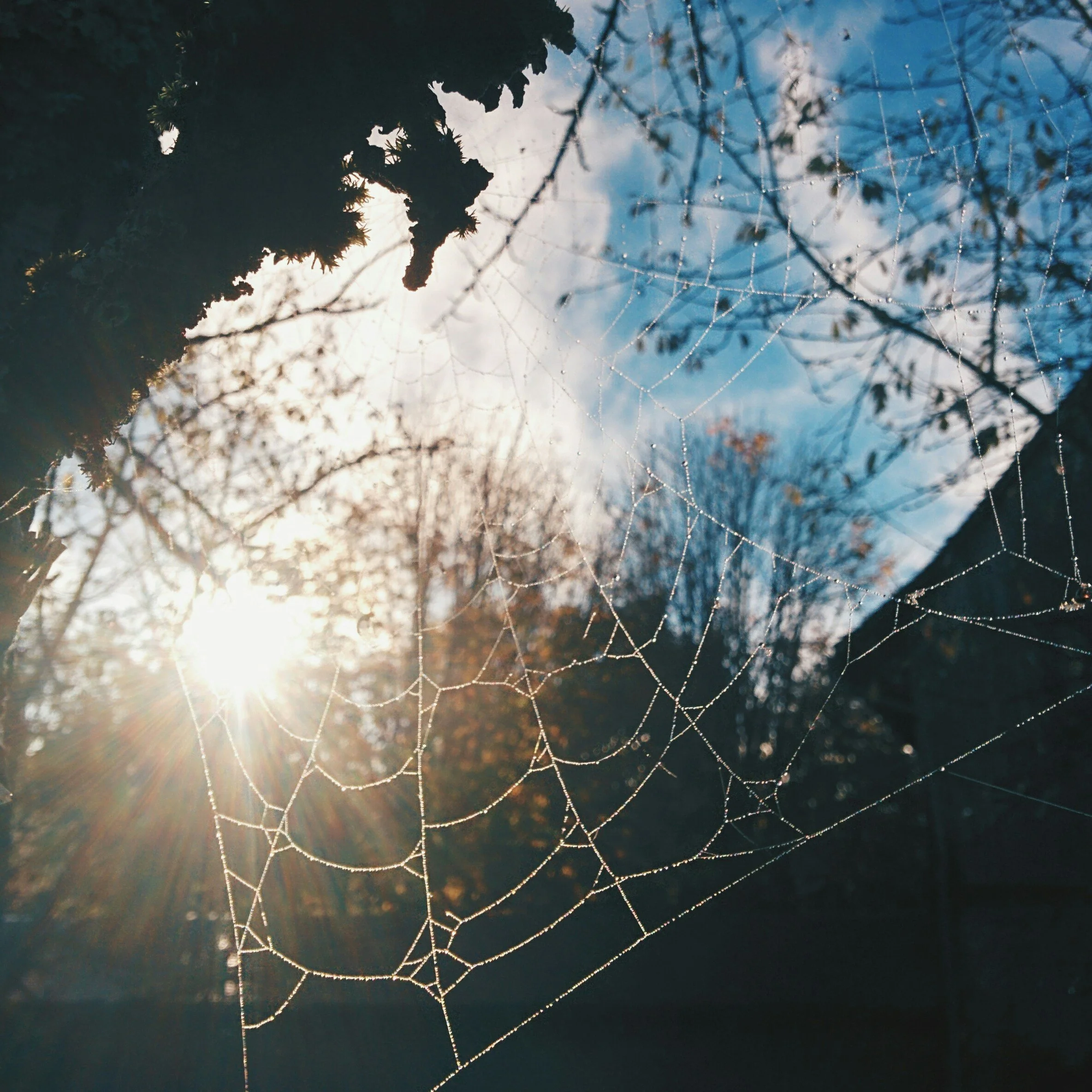 Realizing Awakening in Everyday Life: Summer Solstice Sit and Creative Reflection