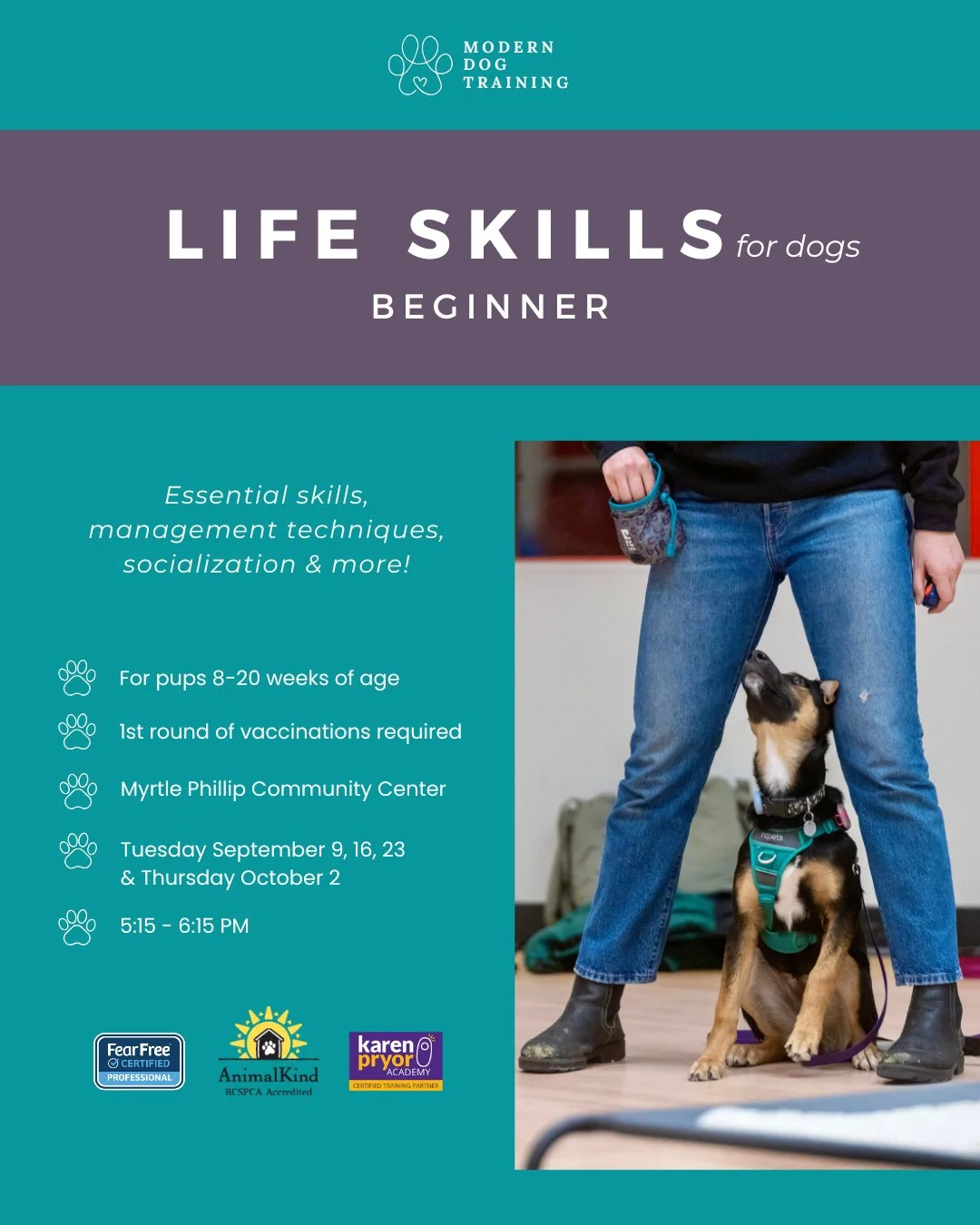 📢 3 Spots Left for Beginner PUPPY CLASS 🐶⁠
⁠
This 4-week series is everything you need to set you and your pup up for a lifetime of success✨⁠
⁠
✔️ Expert instruction ⁠
✔️ Scientifically proven techniques ⁠
✔️ Small group size (5 dogs max) ⁠
✔️ Posi