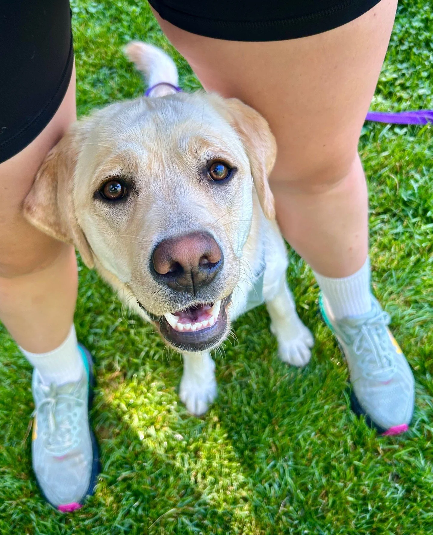 The last Parallel Walks of the season 🥲⁠
⁠
🐾 Thursday September 11th, 18th &amp; 25th ⁠
🐾 Thursday October 9th ⁠
⁠
These walks have been a highlight for me this spring &amp; summer!⁠
⁠
Kudos to all the amazing dog parents who've been showing up, p