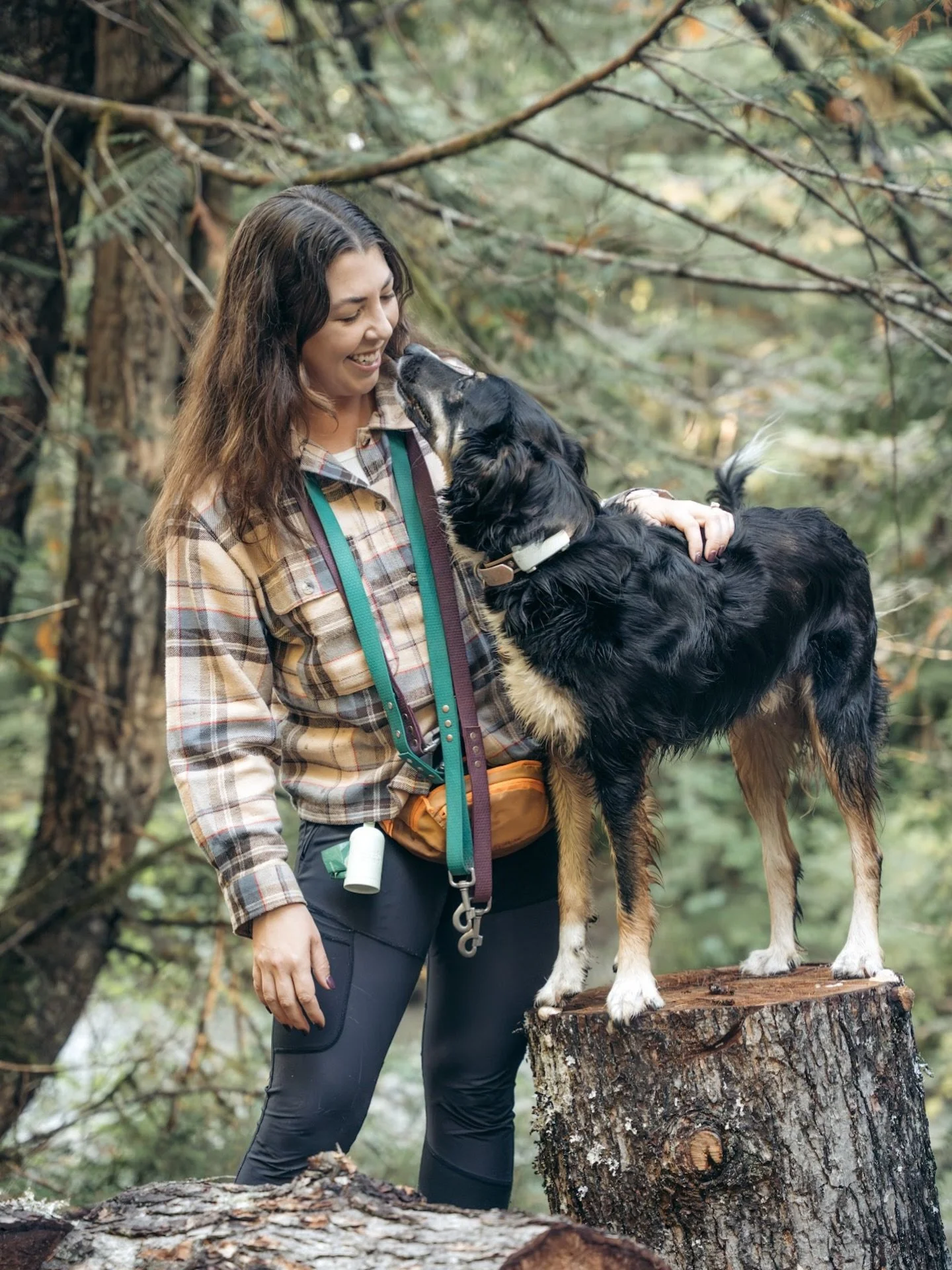 I&rsquo;m very excited to announce that I have officially completed Micheal Shikashio&rsquo;s Aggression in Dogs Master Course 🦮🐾

This course was highly informative and allowed me to further develop key skills in behaviour change planning, risk as
