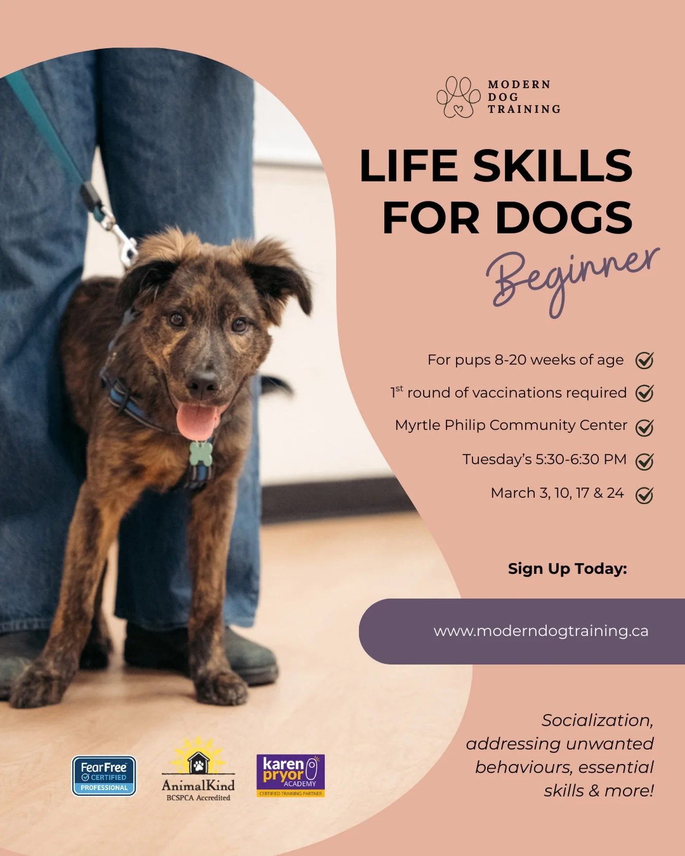 March PUPPY CLASS registration is NOW OPEN 🥳

This 4-week series is everything you need to set you and your pup up for a lifetime of success✨

✔️ Expert instruction 
✔️ Scientifically proven techniques 
✔️ Small group size (5 dogs max) 
✔️ Positive 