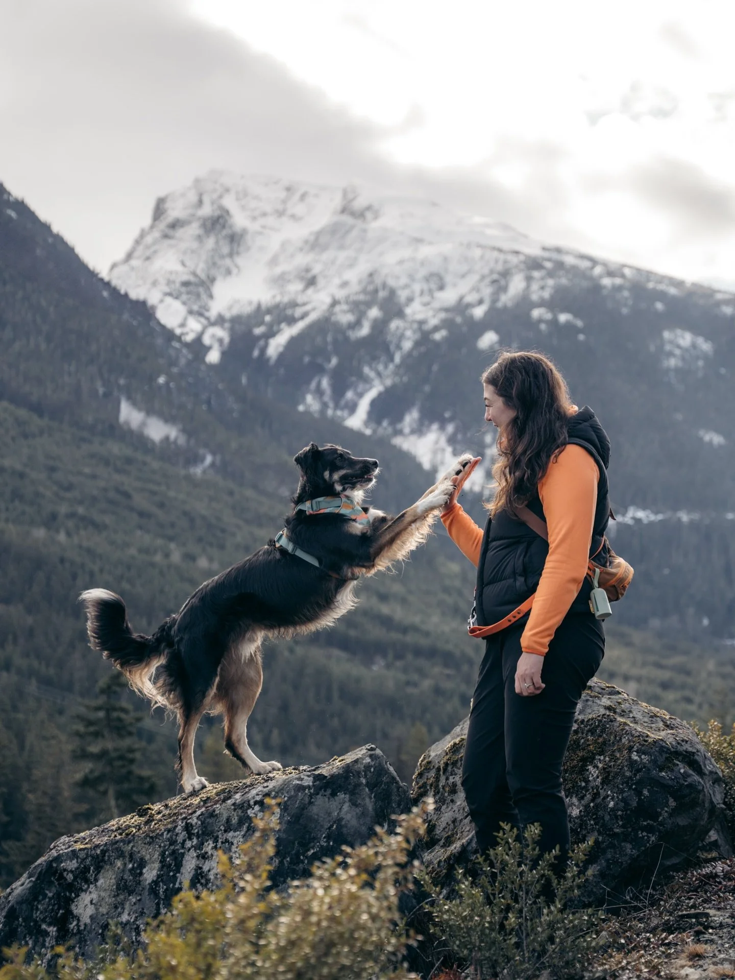 Huge thank you to @kellritchiephotography for these incredible photos 🧡

If you&rsquo;re looking for someone to capture the love between you &amp; your dog she is the absolute BEST ✨

Tucker dog, I truly don&rsquo;t know what I&rsquo;d do without hi