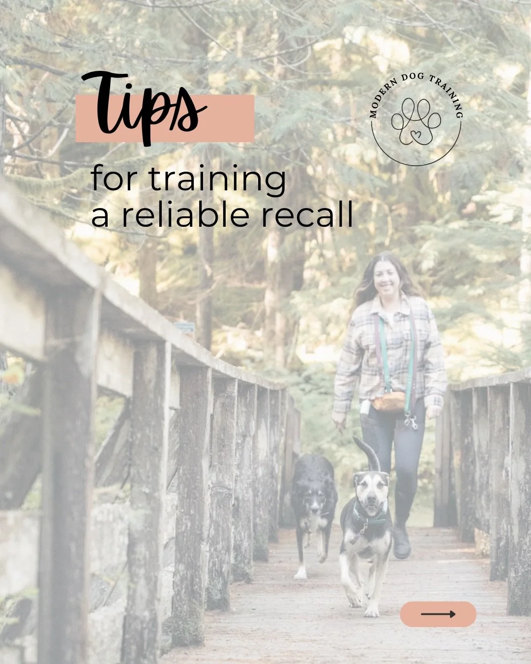 📢 Reliable Recall 📢 a simple guide to mastering your dogs &lsquo;coming when called&rsquo; cue 

Whether you use &lsquo;come&rsquo;, &lsquo;touch&rsquo; or a whistle, make sure the cue is novel (aka not their name which they hear often and in vario