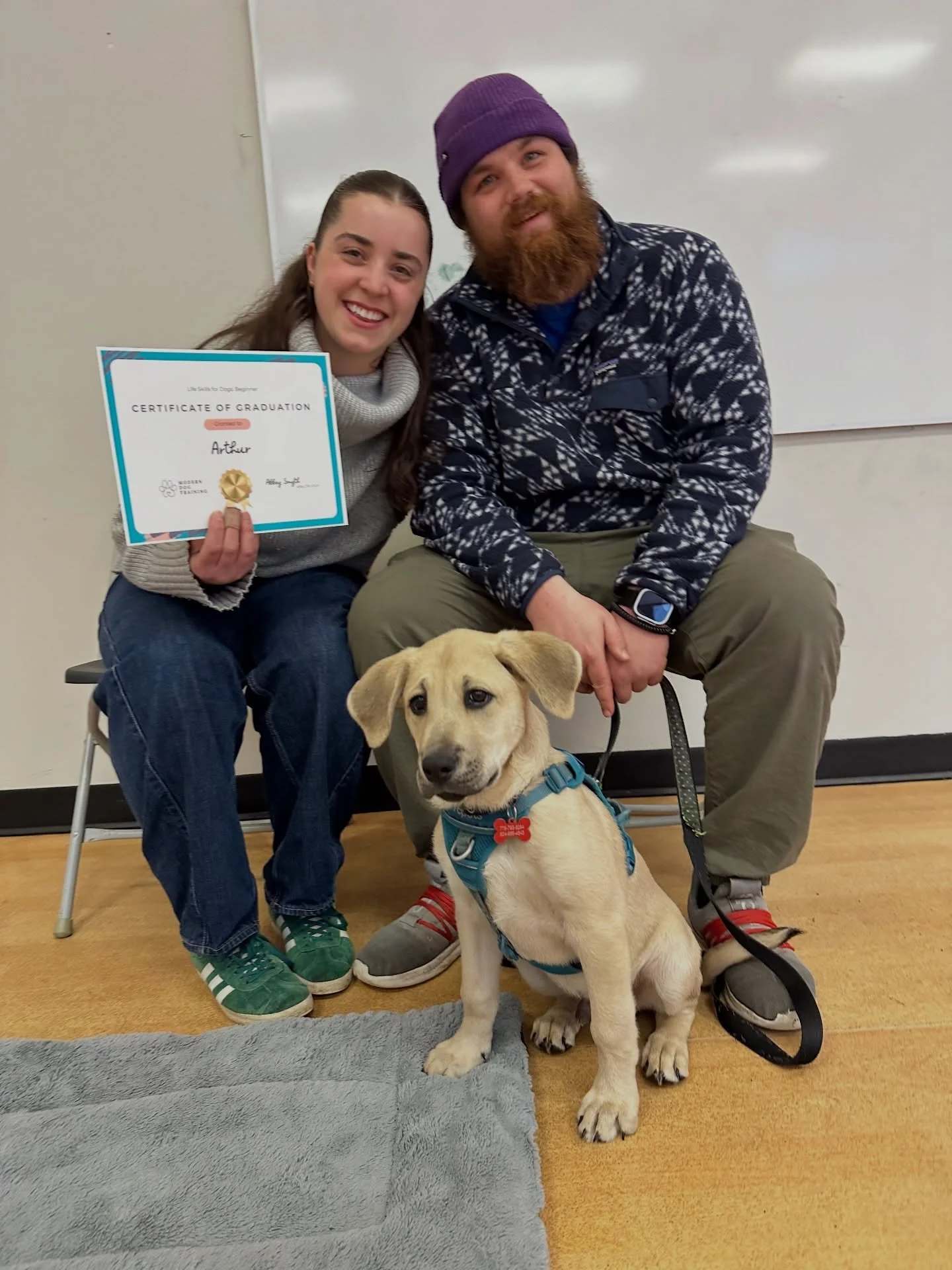 Congrats to our Spring Beginner Grads Arthur, Nova, Billie &amp; Kip (here in spirit!) 🎓🐾

#puppyclass #puppygrads #lifeskillsfordogs #markertraining #fearfreetraining