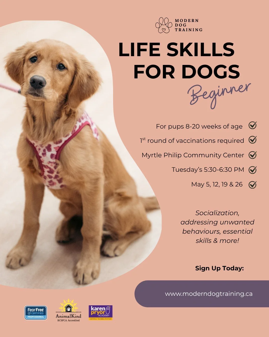 📣 May Beginner puppy class is now open for registration! 📣

This 4-week series is everything you need to set you and your pup up for a lifetime of success 🐶🐾

✔️ Expert instruction 
✔️ Scientifically proven techniques 
✔️ Small group size (5 dogs