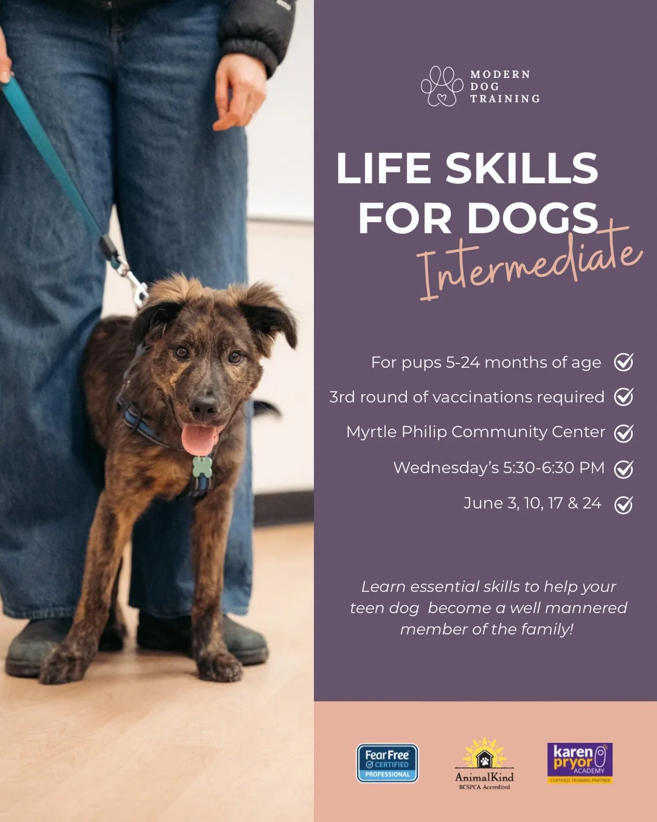Do you have an unruly teenage pup at home?
Then this is the class for you! 🦮

Life Skills for Dogs: Intermediate focuses on essential obedience cues, impulse control, and appropriate social interactions with both humans and other dogs.

✔️ Expert in