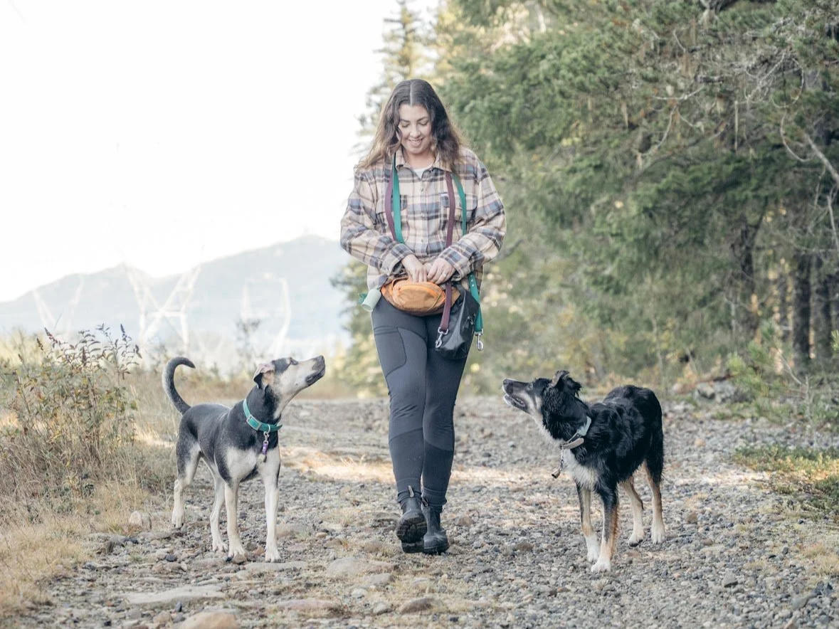 Life Skills for Dogs: Intermediate 