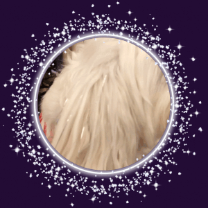 What is Fairy Hair? — Fairy Hair Flare