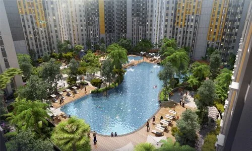 Aerial view of a swimming pool