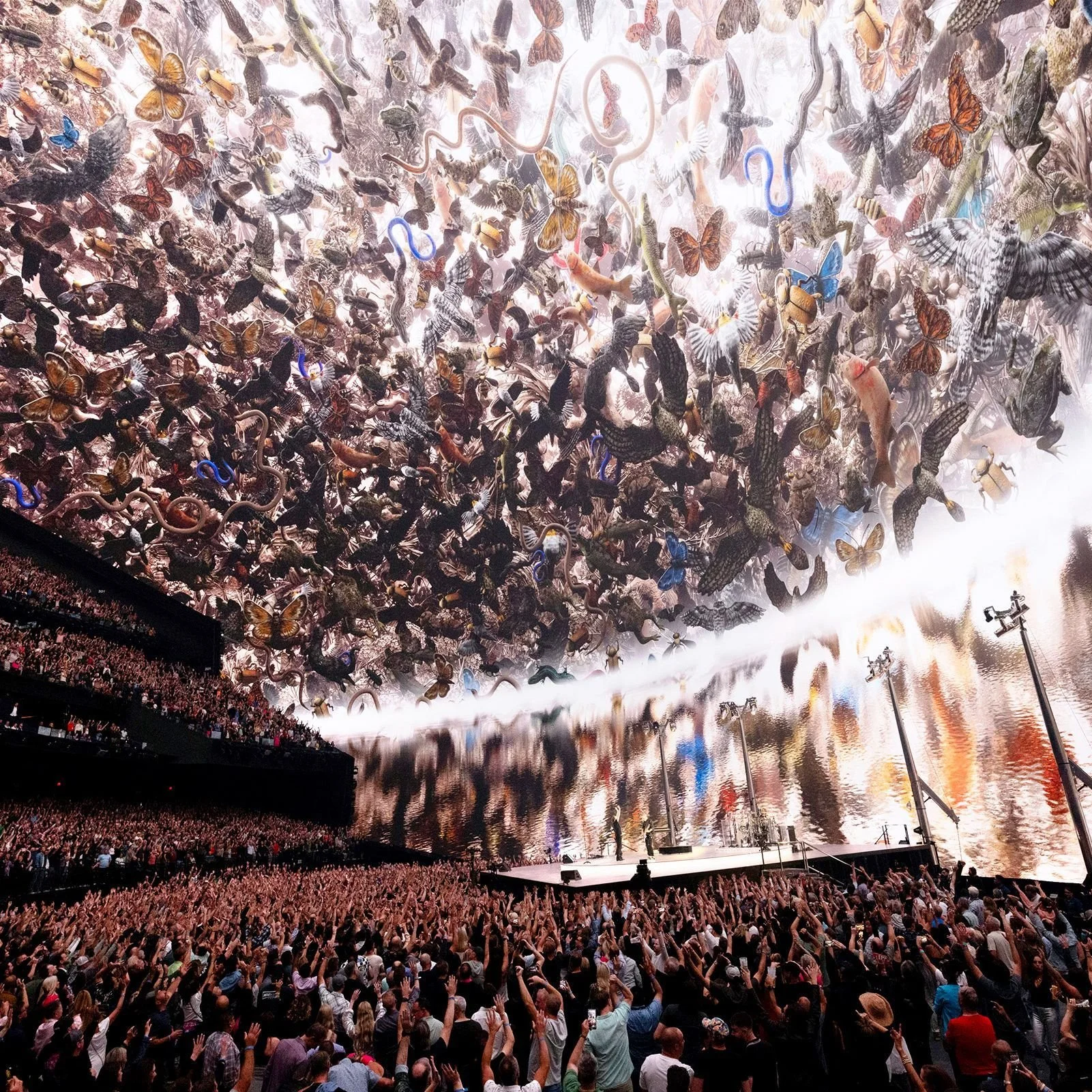 U2-Sphere-Vegas-Plaintext-Business-Artwork - Nevada Ark by Es Devlin_1.webp