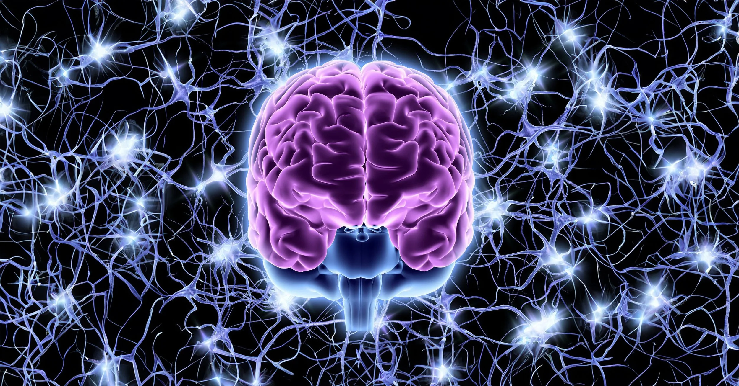 The Science of Guest Experience: How Neuroscience Shapes Hospitality</span>