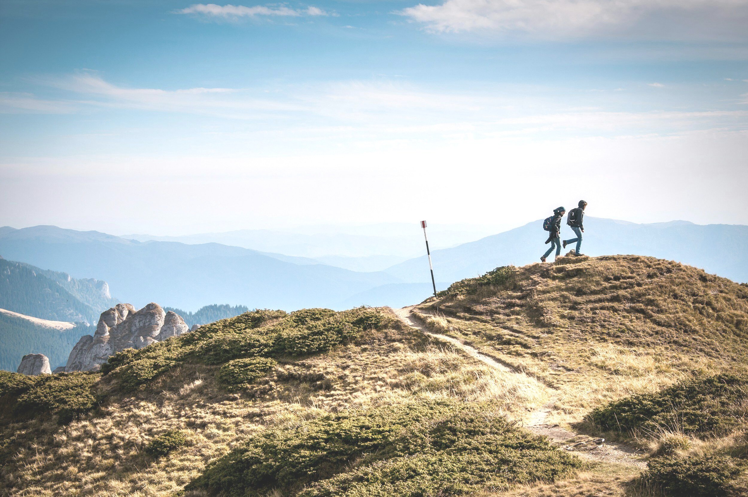Calm Amidst Chaos: Evidence-Based Anxiety-Reducing Exercises