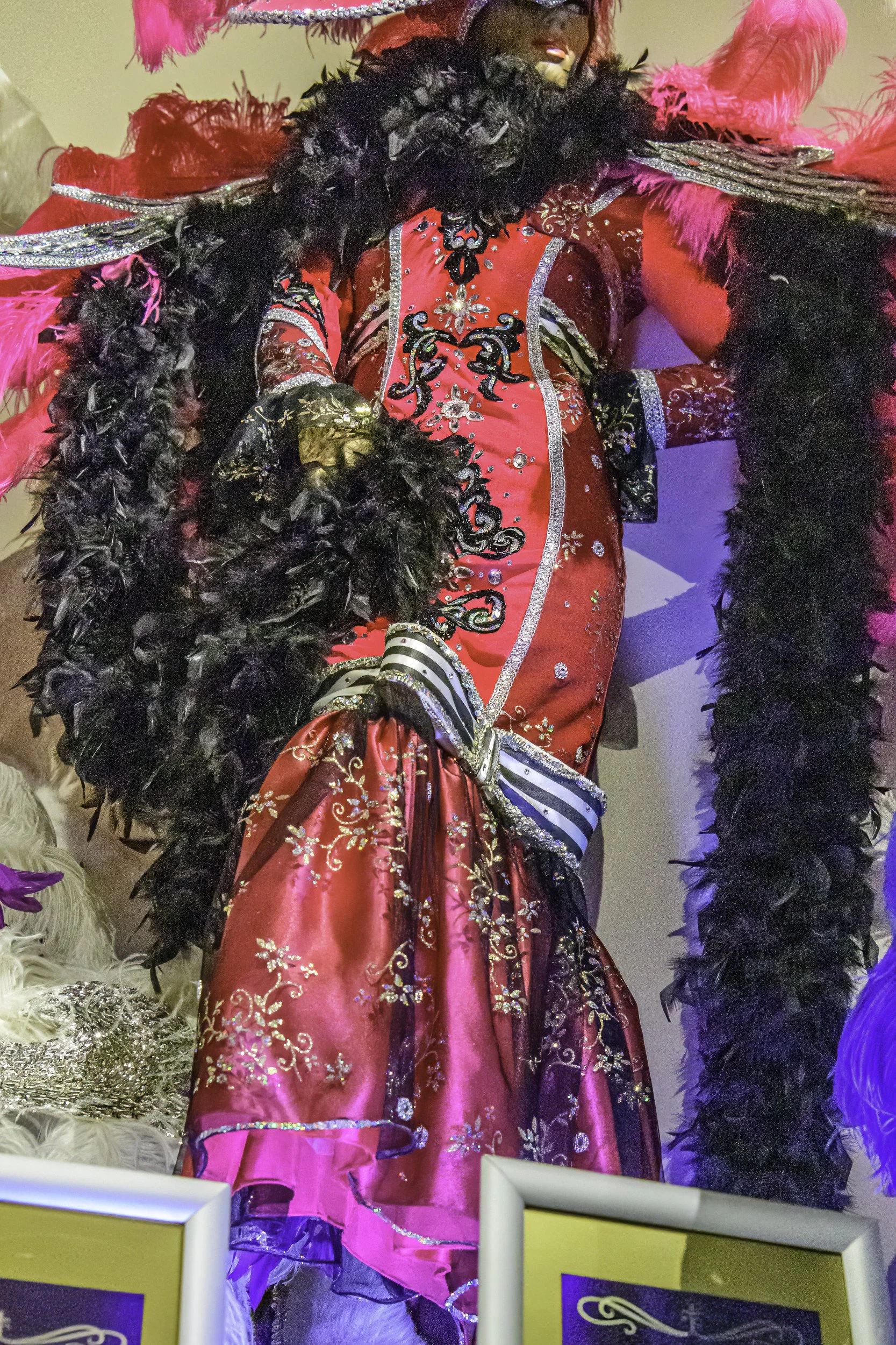 mardi_gras_museum_ahhee_photography-44.jpg