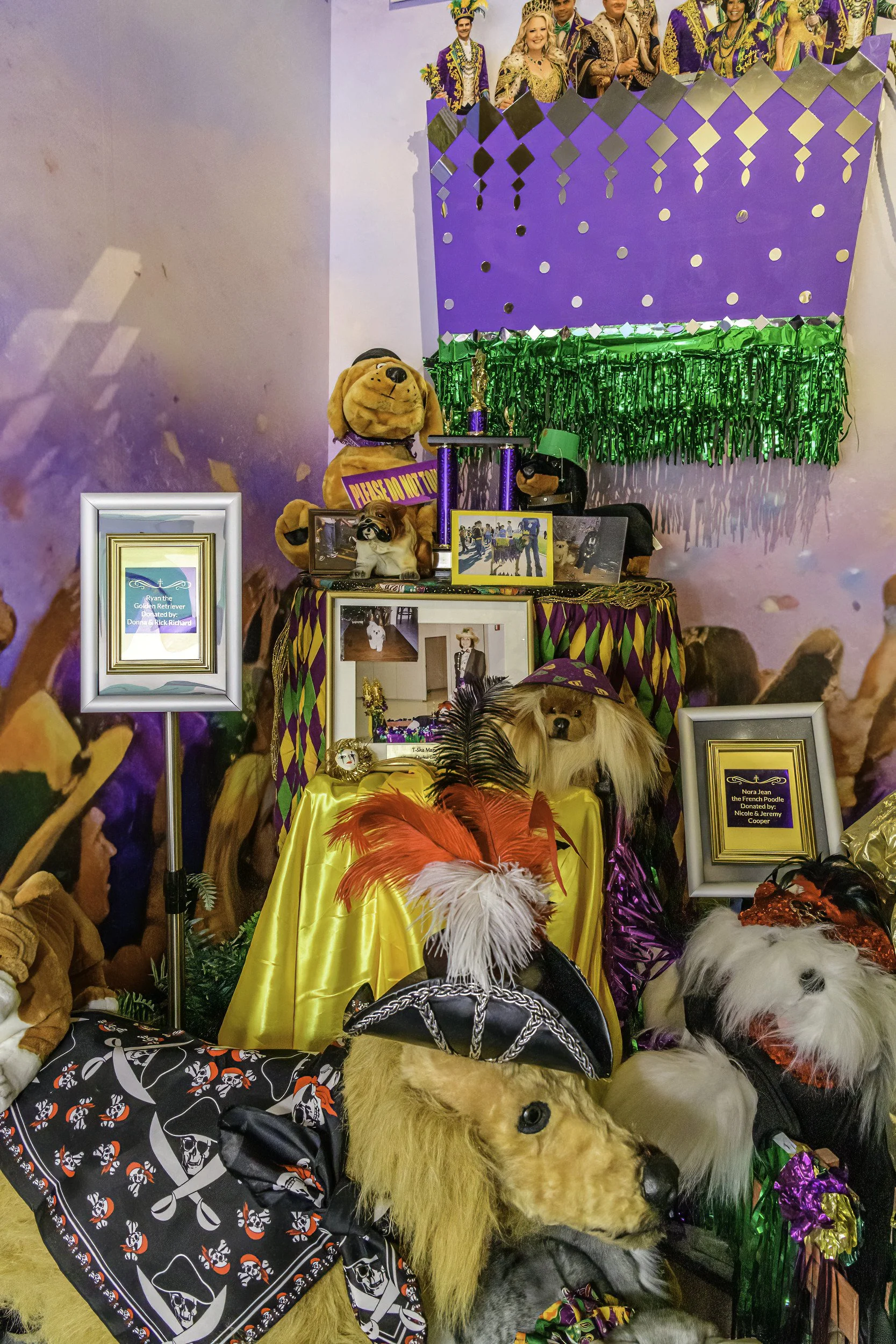 mardi_gras_museum_ahhee_photography-97.jpg
