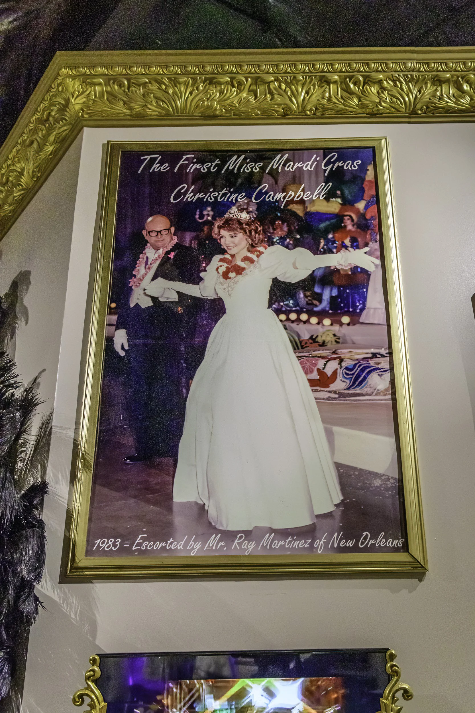 mardi_gras_museum_ahhee_photography-70.jpg