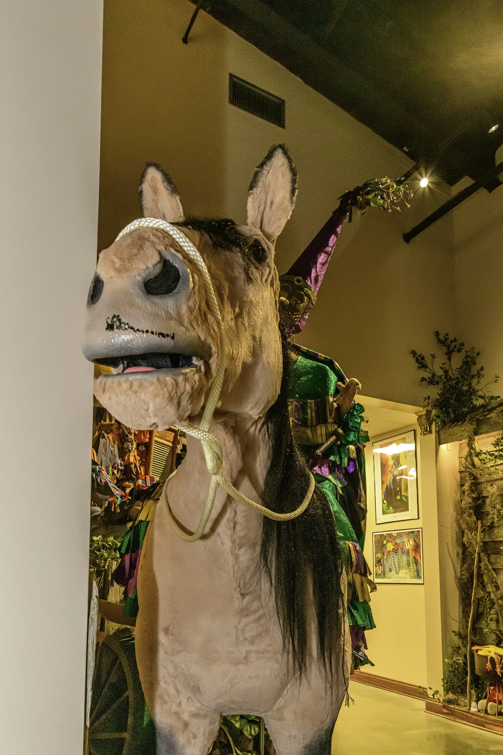 mardi_gras_museum_ahhee_photography-98.jpg