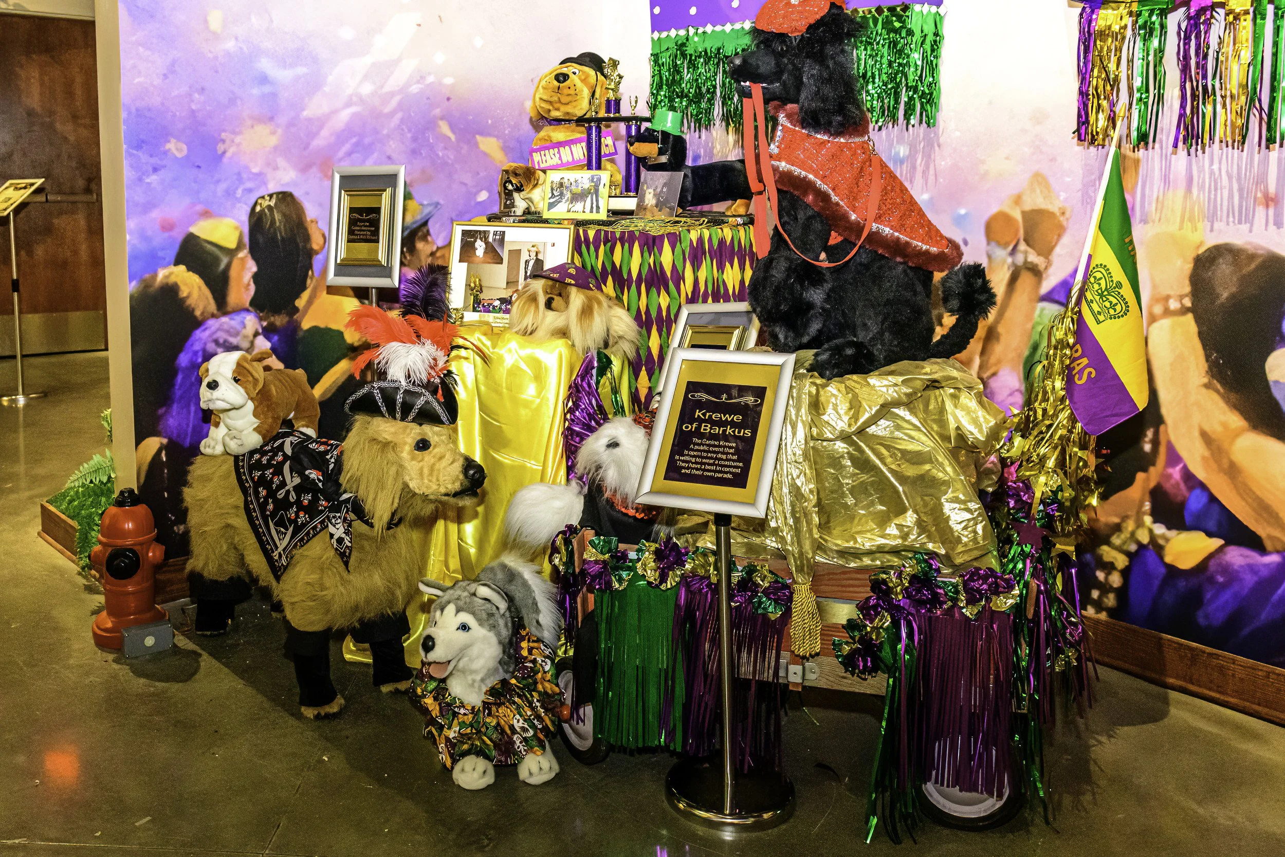 mardi_gras_museum_ahhee_photography-91.jpg