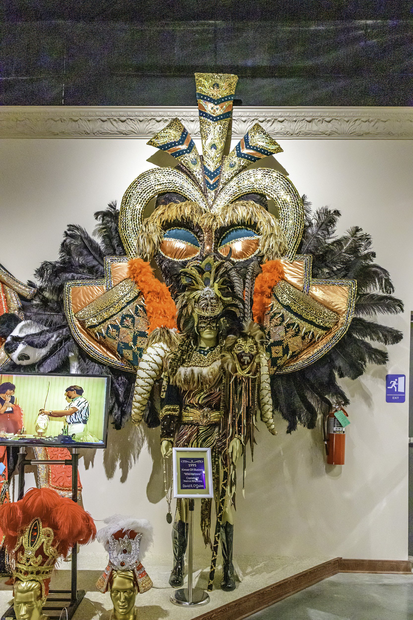 mardi_gras_museum_ahhee_photography-26.jpg