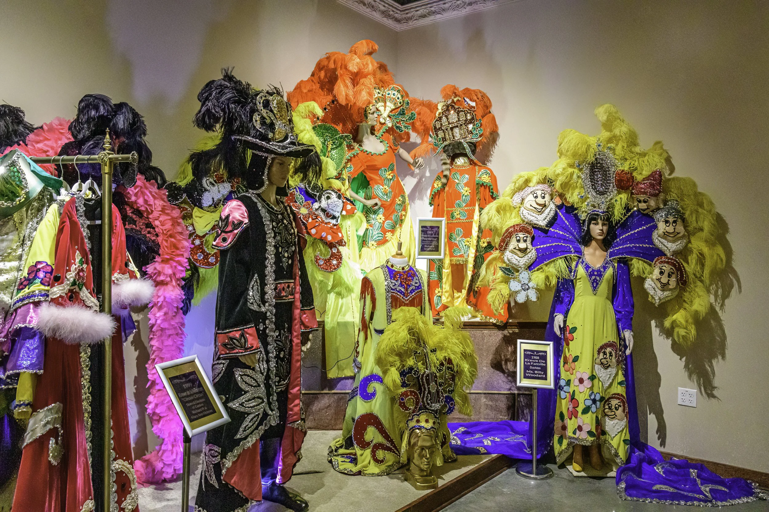mardi_gras_museum_ahhee_photography-23.jpg