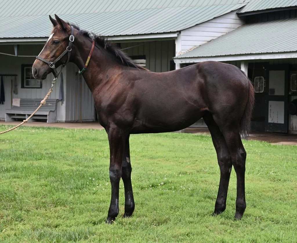 Tiffany's Mo 24 - Liam's Map.jpeg