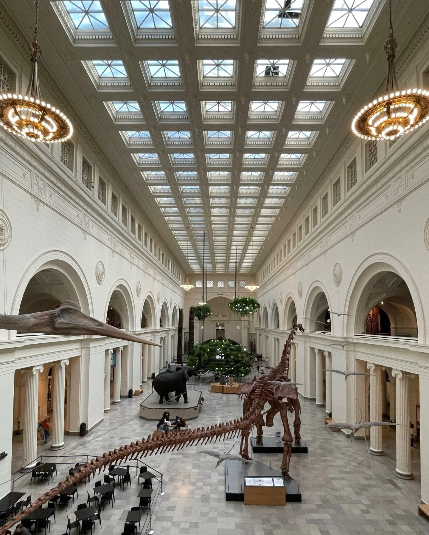 Tactile Tuesdays | 300 million year old fossilized limestone lobby floors and a facade made of 350,000 cubic feet of White Georgi marble!

Walking the lobby of the Field Museum is a lesson in scale, material, and civic architecture. The architecture 