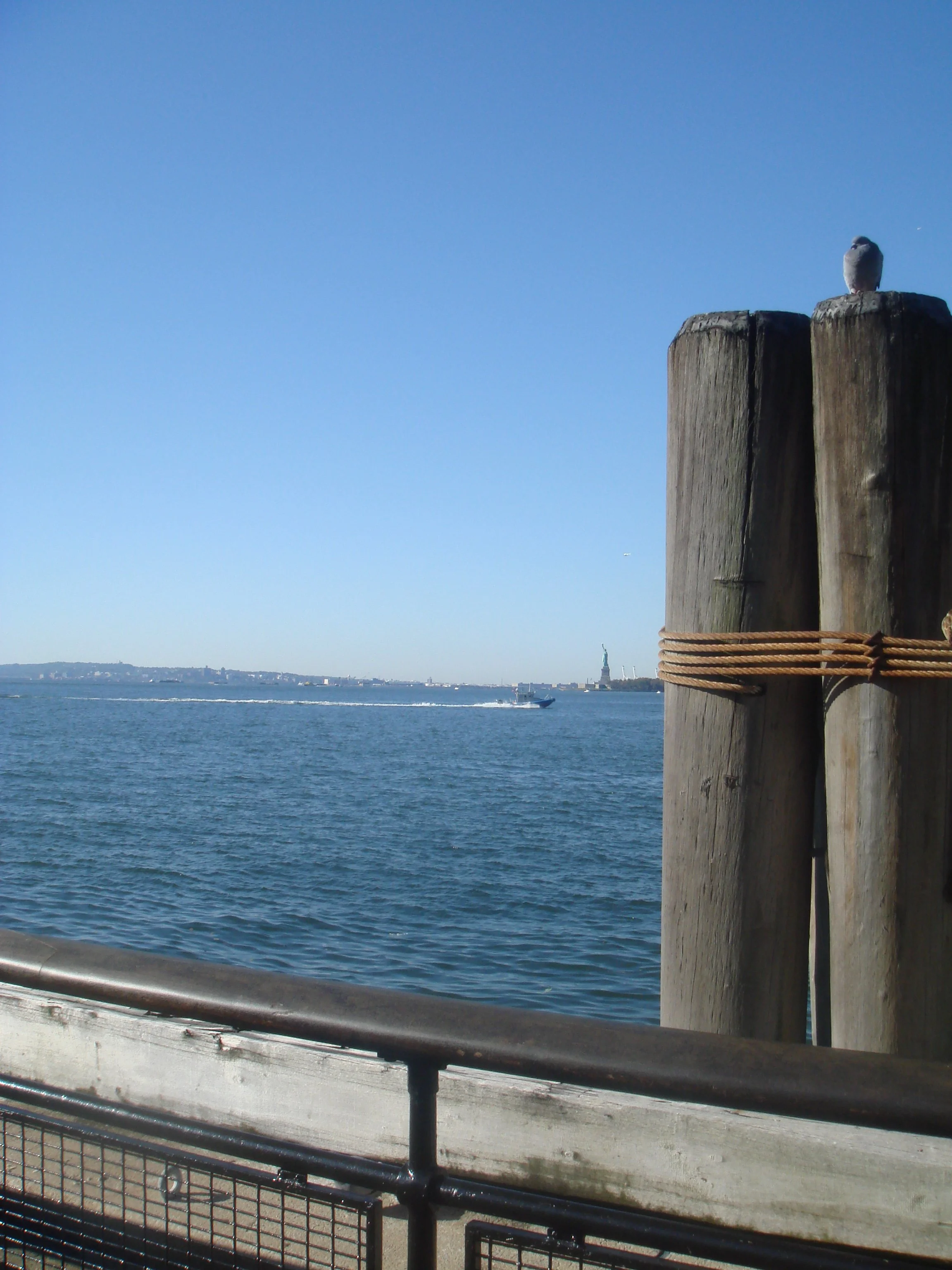 DSC06115.jpeg