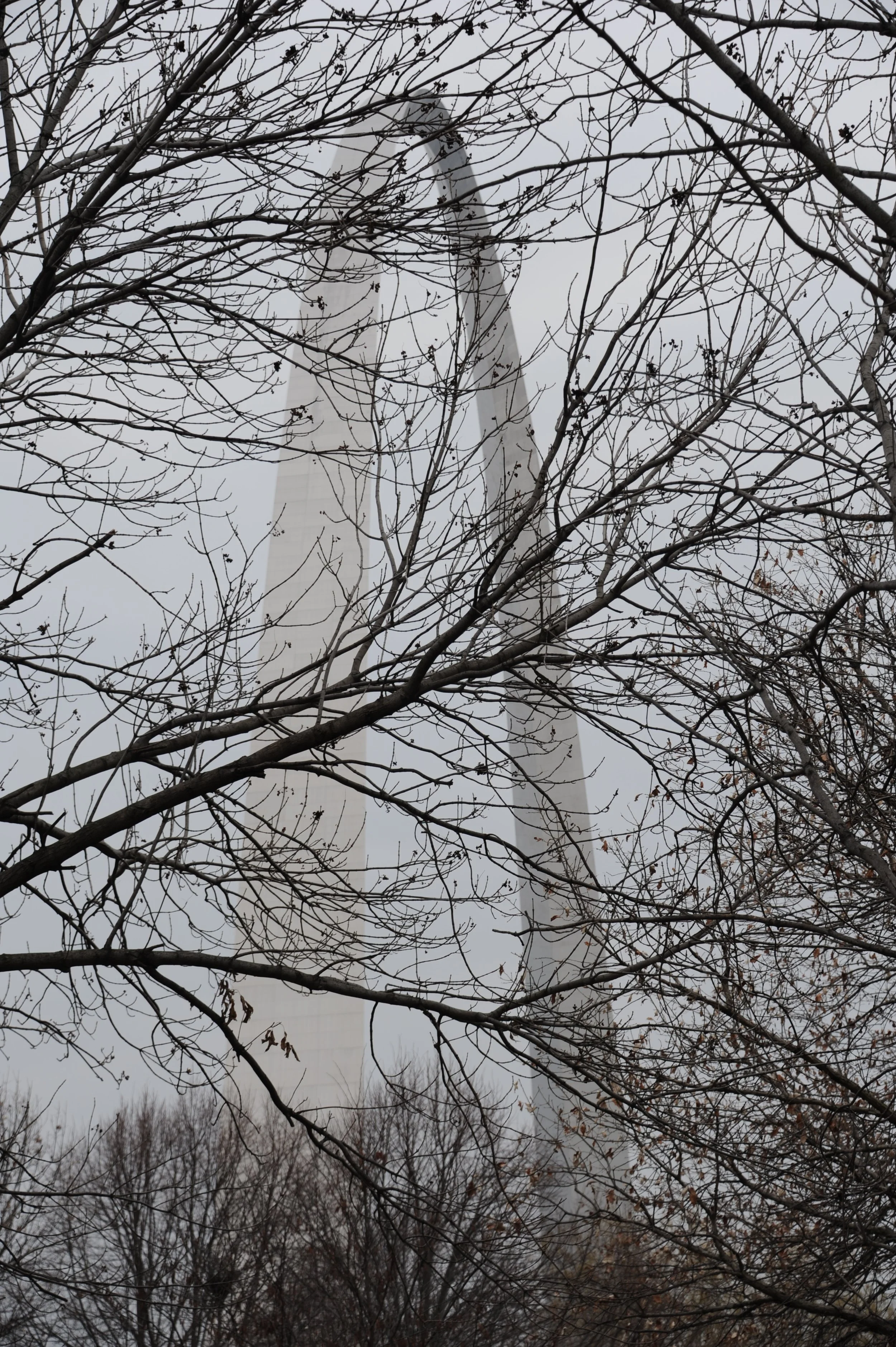 DSC_0675.jpeg