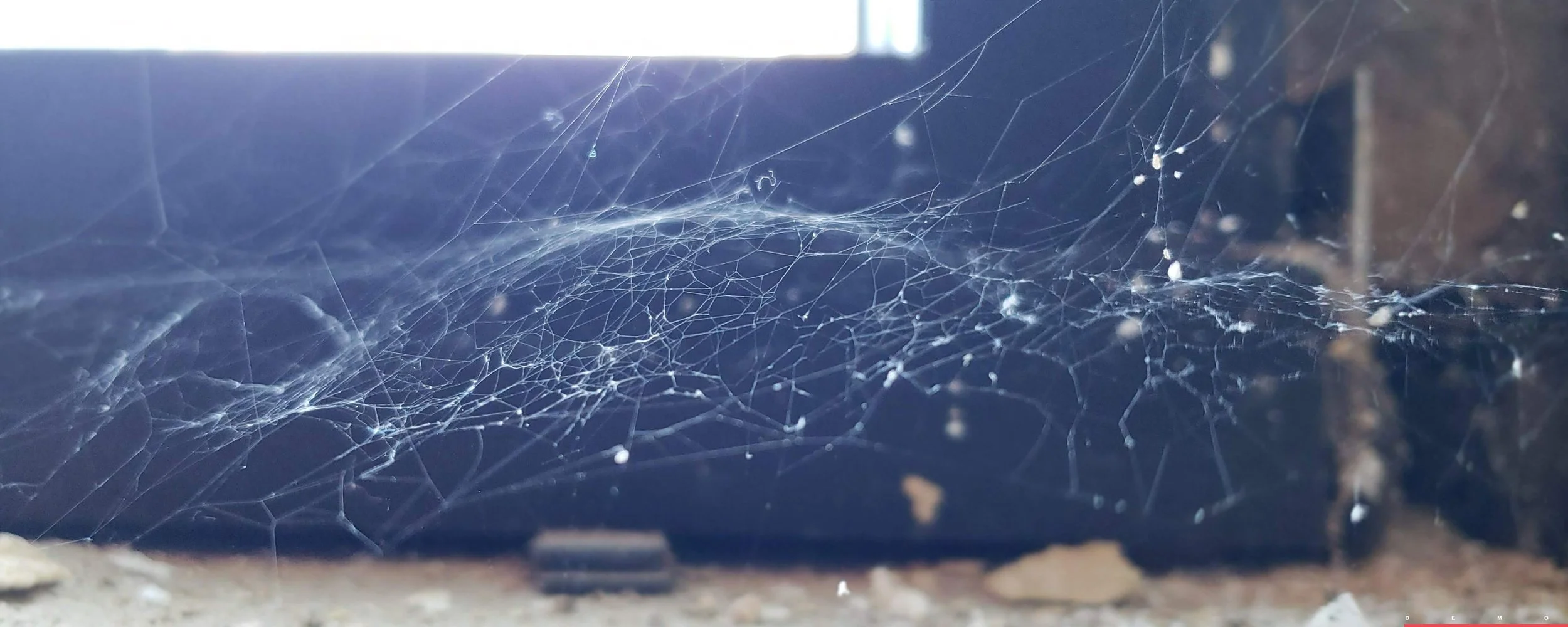 19_1017-Emerson Book SPREADS_compressed_page_26.jpeg