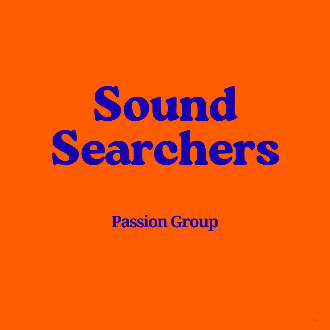 SOUND SEARCHERS