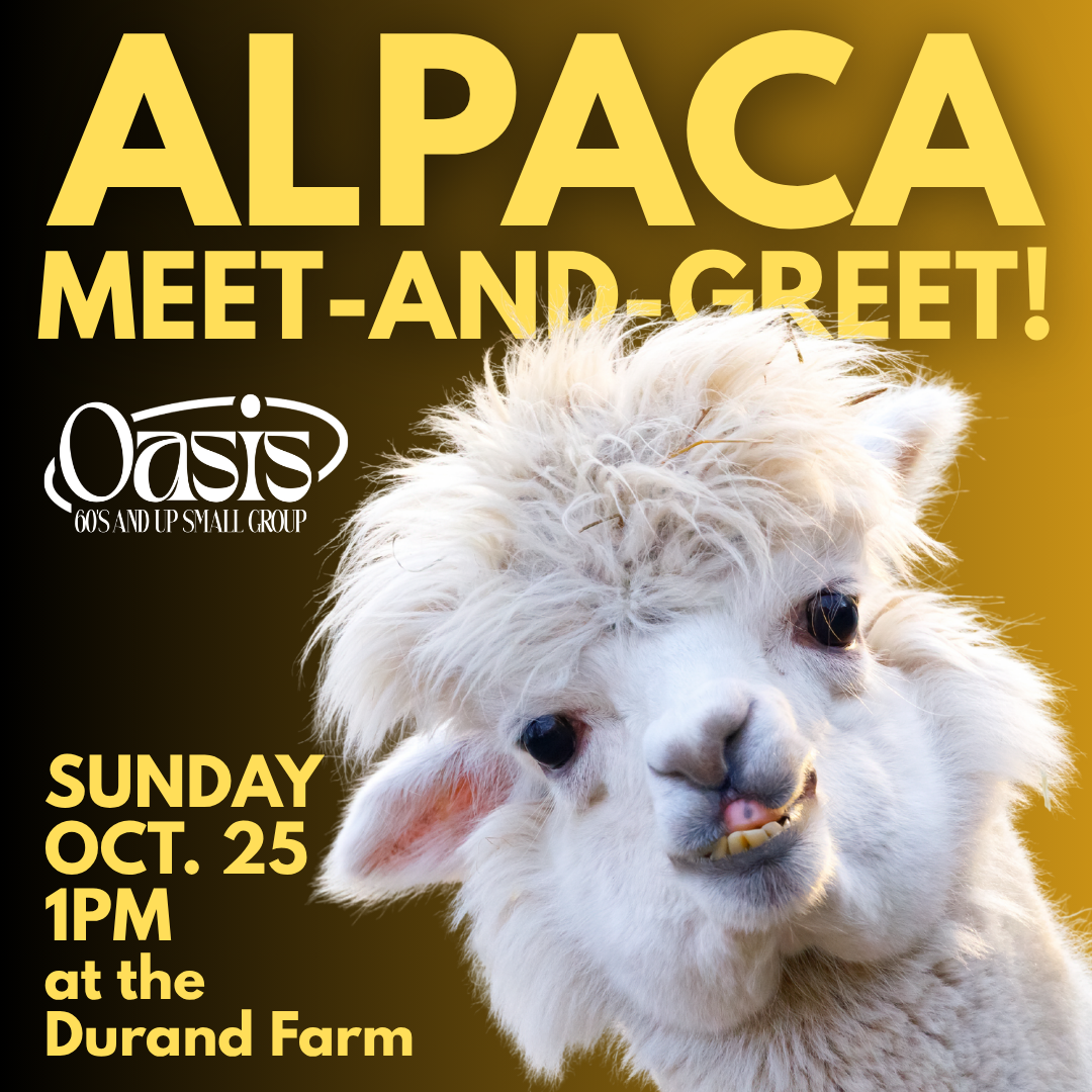 Poster promoting an alpaca meet-and-greet event at the Durand Farm, featuring a close-up of a smiling white alpaca with curly wool. The text indicates the event is on Sunday, October 25, at 1 PM.