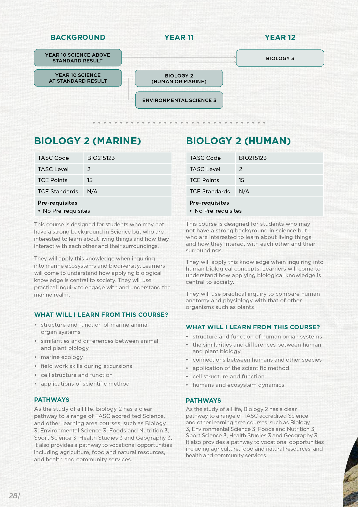 GYC-Handbook-2027-WEB-28.png