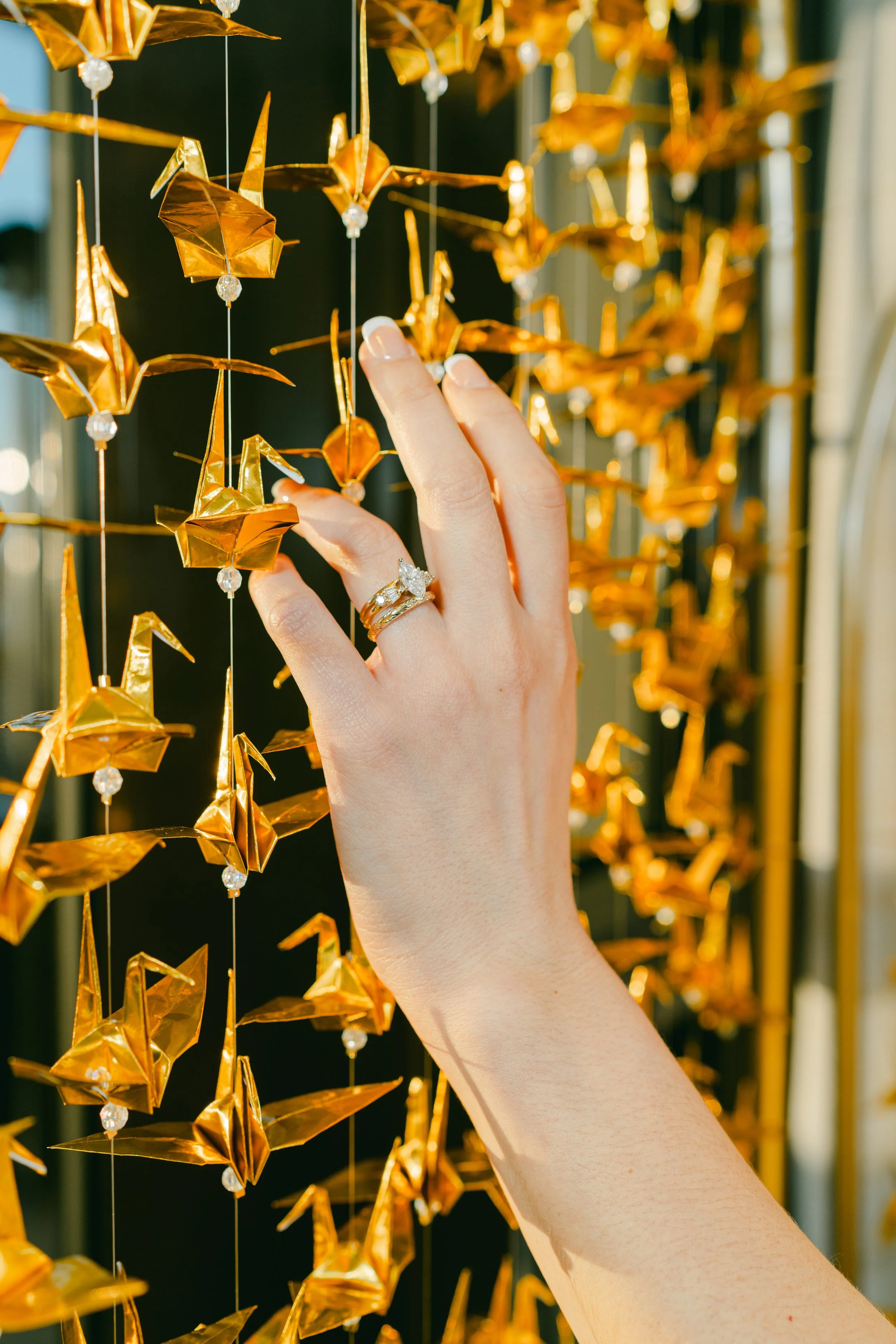 Sydney and Bode Hotel Carmichael Wedding Alison Mae PhotographyAMP02286.jpg