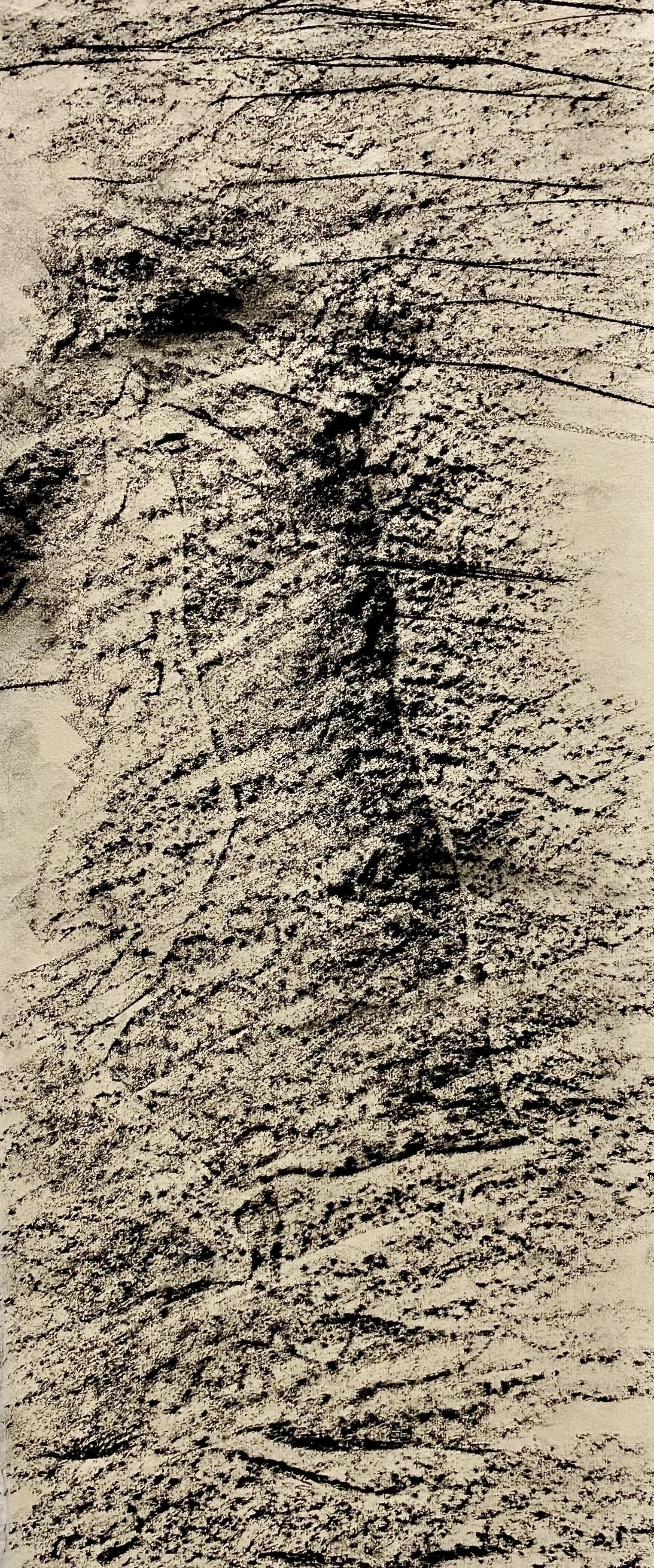 Viaje_20,5x8%22_conte on paper.jpg